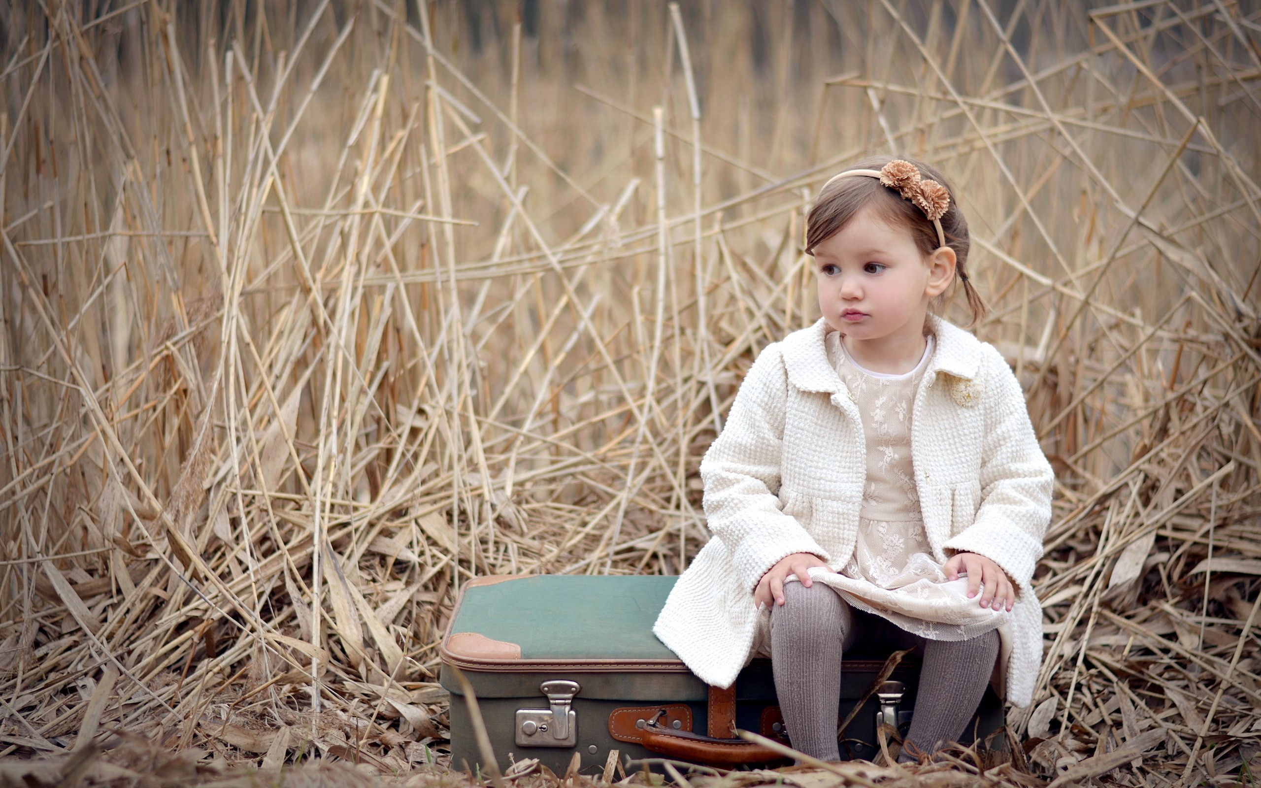 Young girl sitting on a suitcase in dry reeds HD Wallpaper