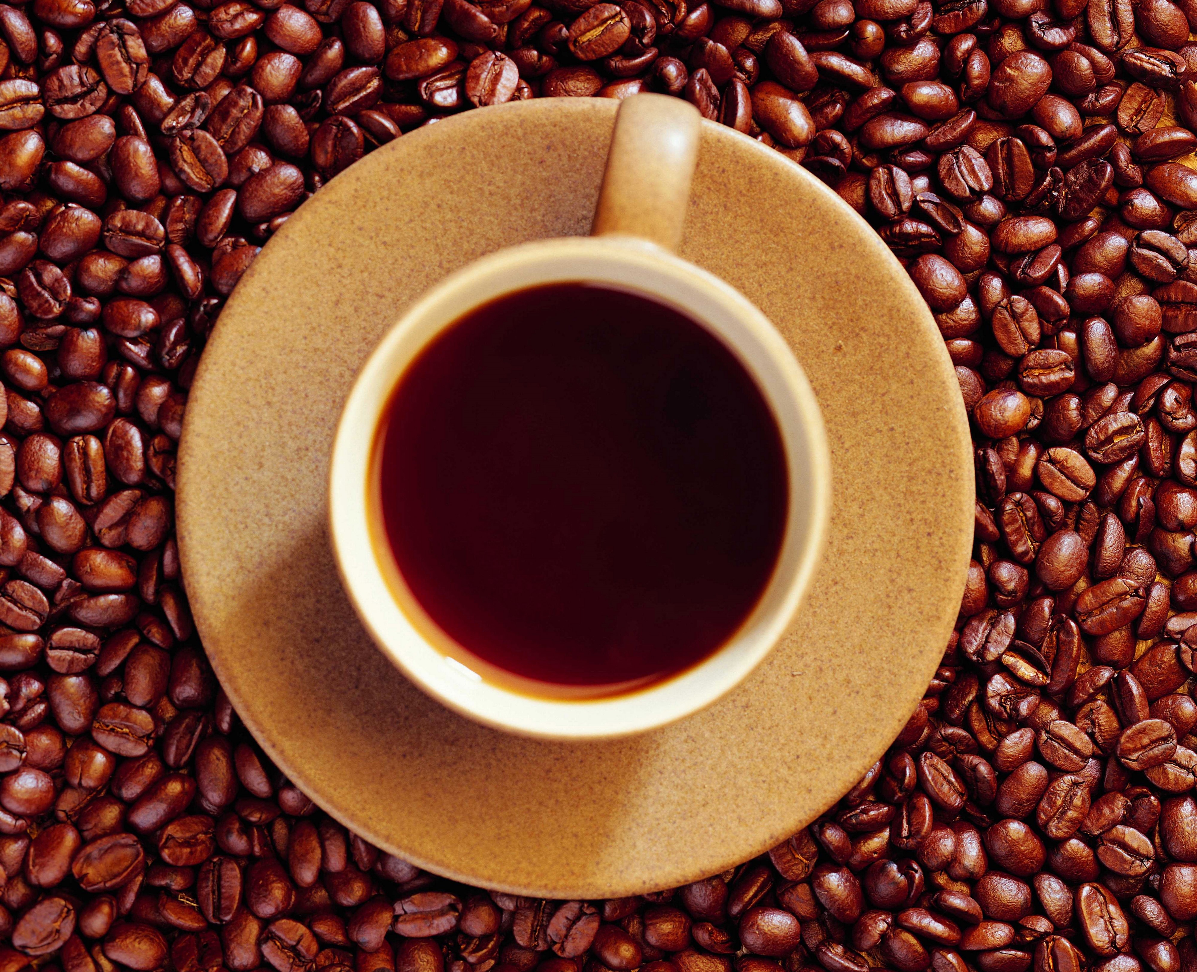 Cup of Coffee on Coffee Beans HD Wallpaper