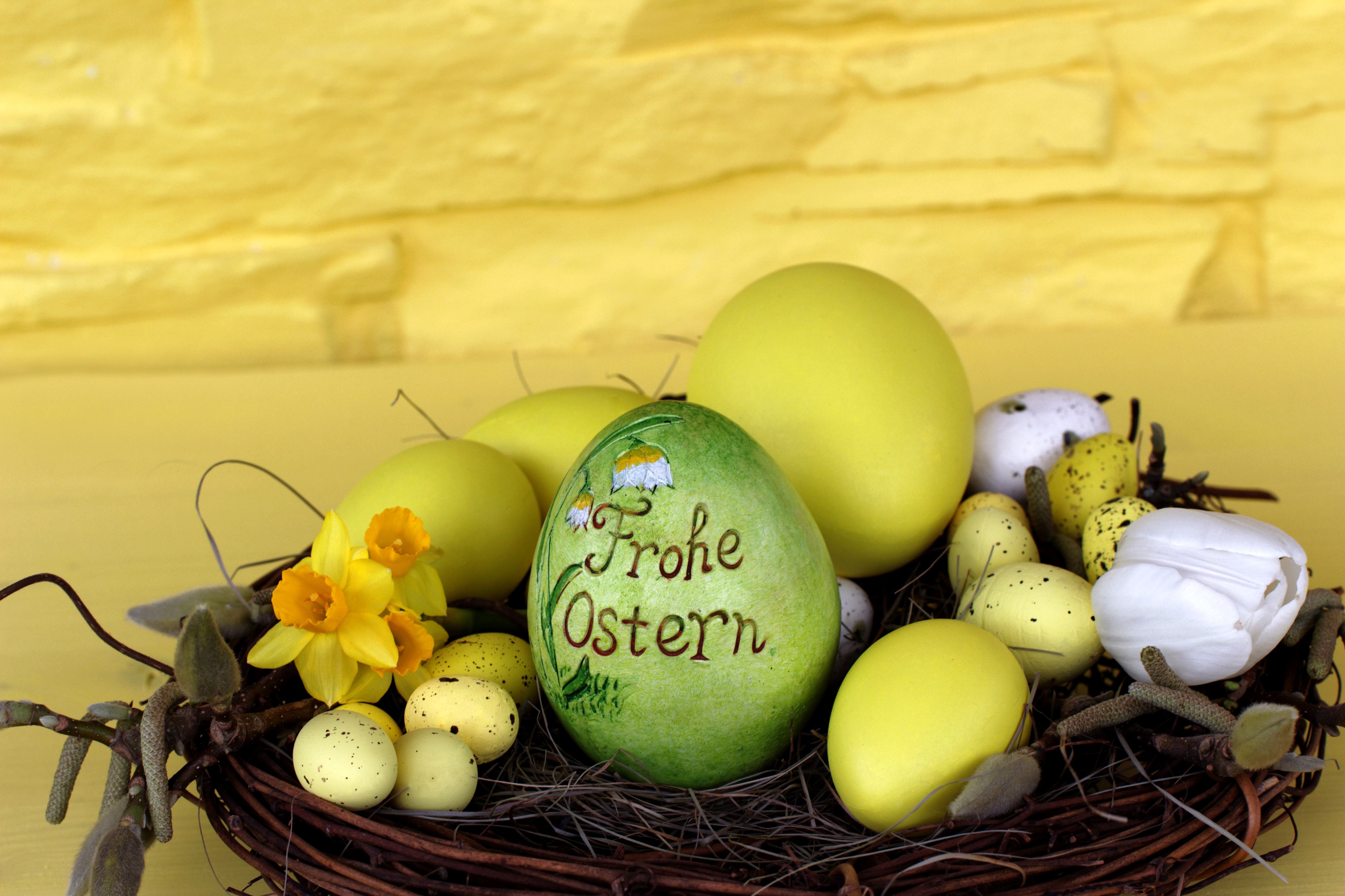 Easter eggs in a nest with daffodils and tulips HD Wallpaper