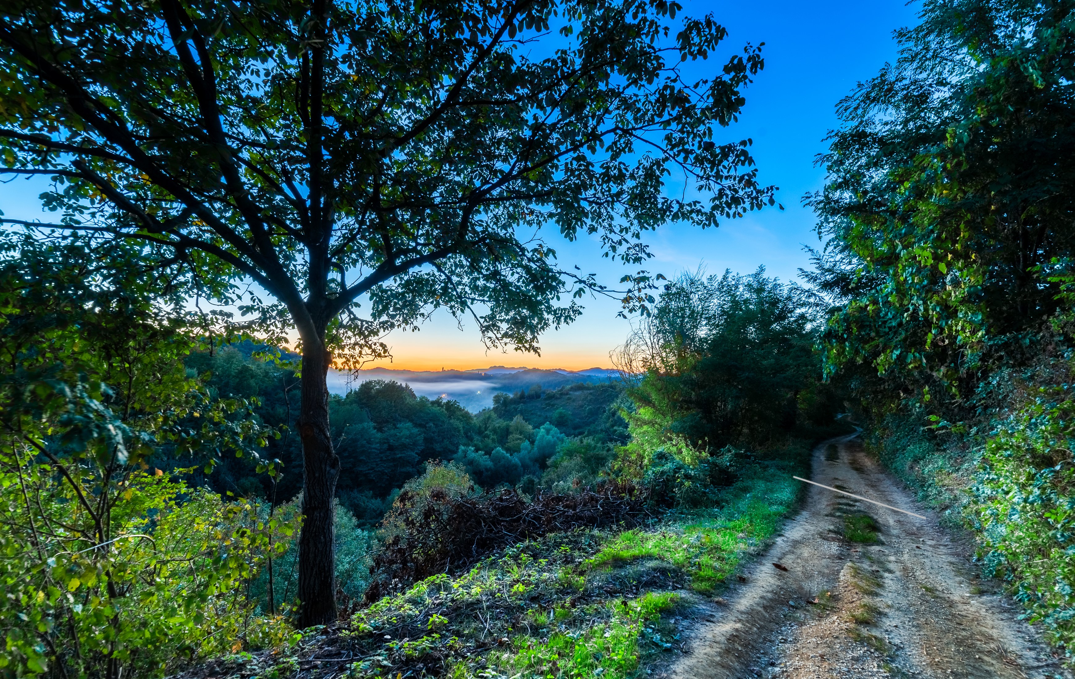 Dirt road through a forest in Trakoscan, Croatia HD Wallpaper