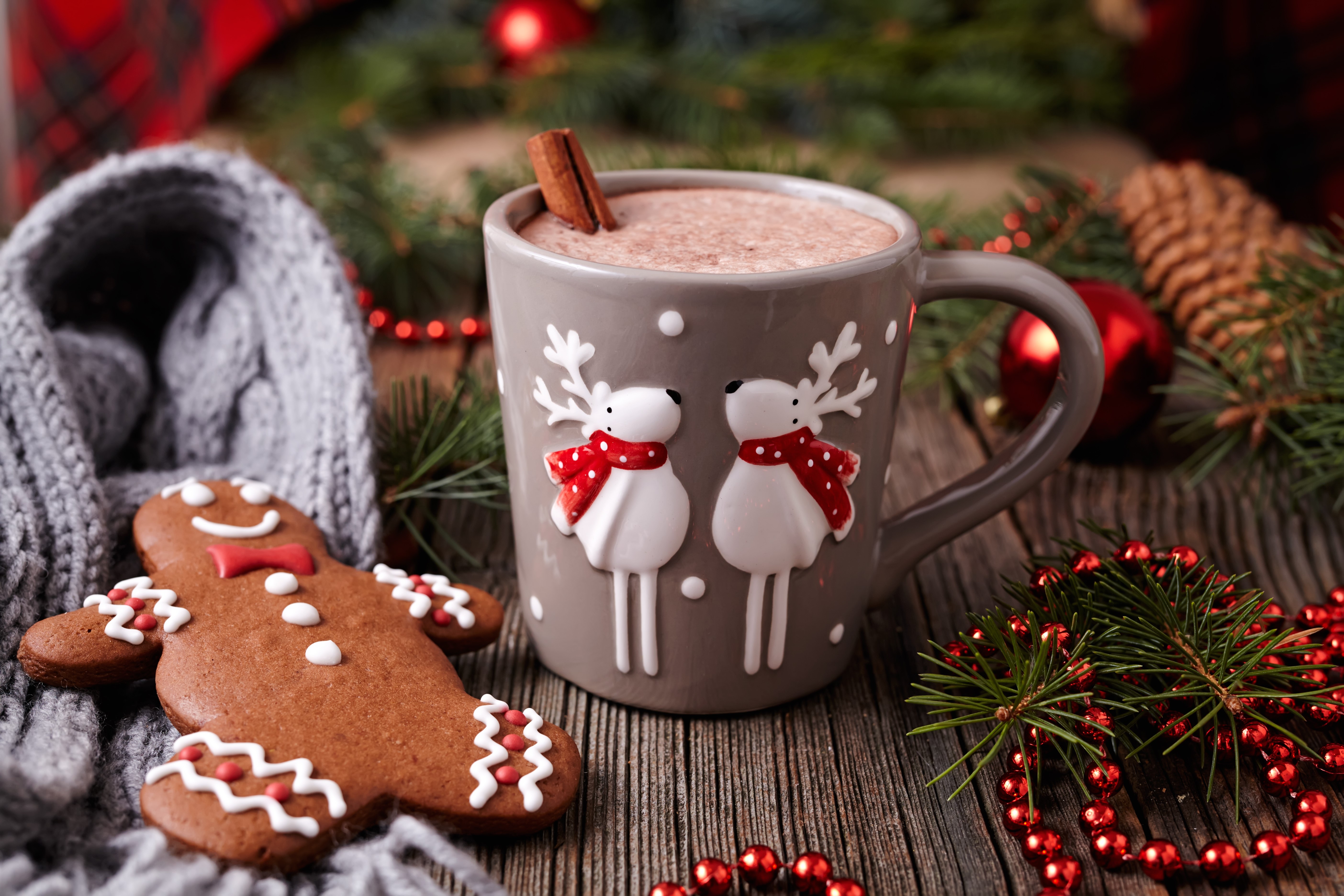 Christmas mug with hot chocolate and gingerbread cookie HD Wallpaper