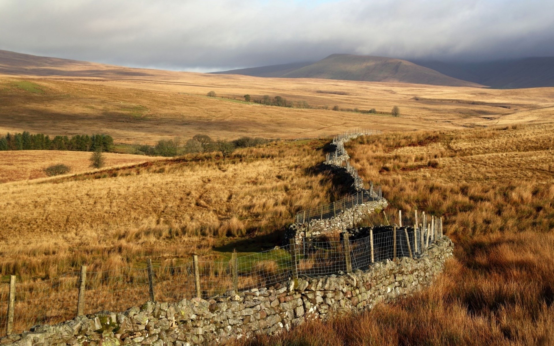 Stone wall and fence in a grassy moorland landscape HD Wallpaper