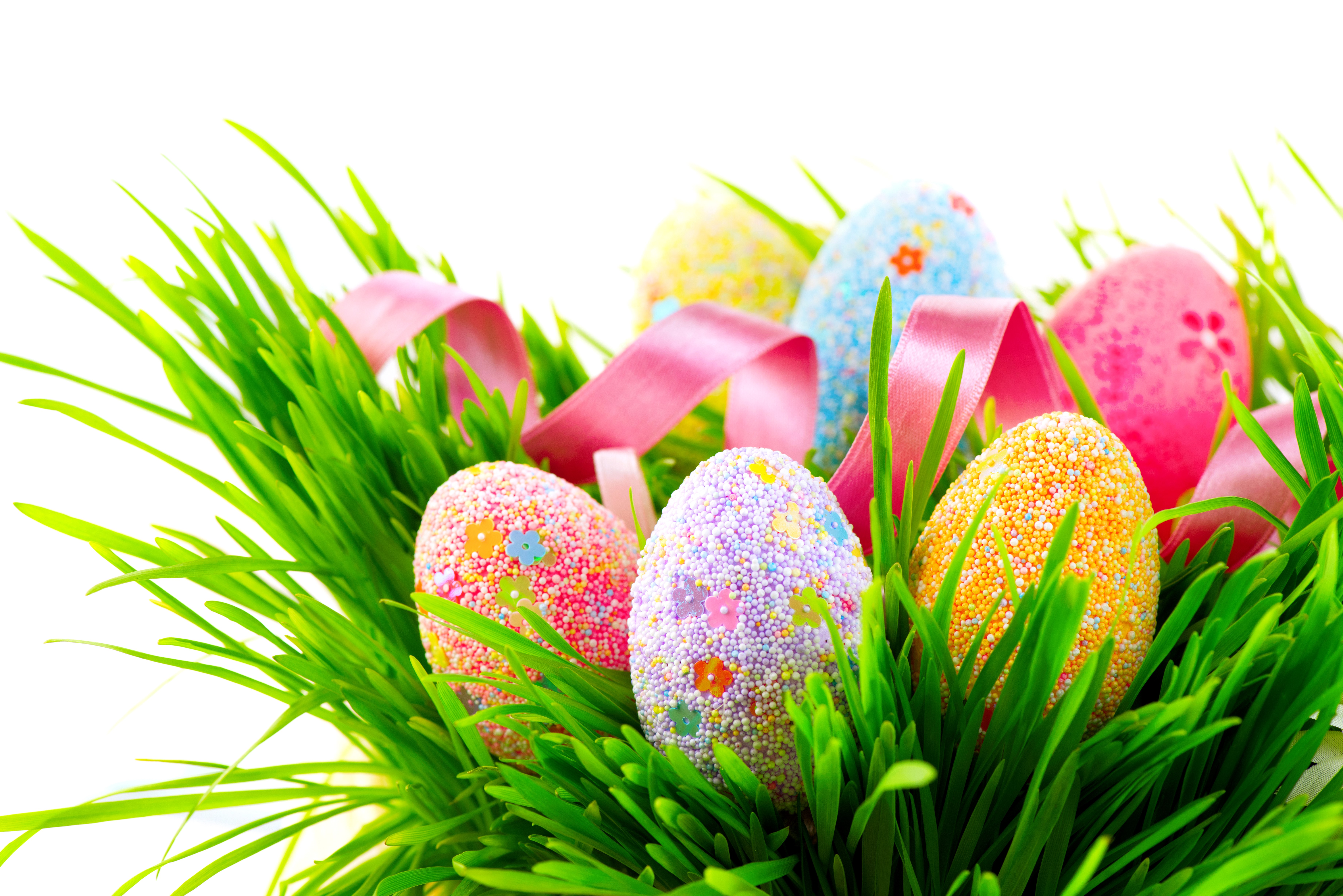Easter Eggs in Green Grass with Pink Ribbon HD Wallpaper
