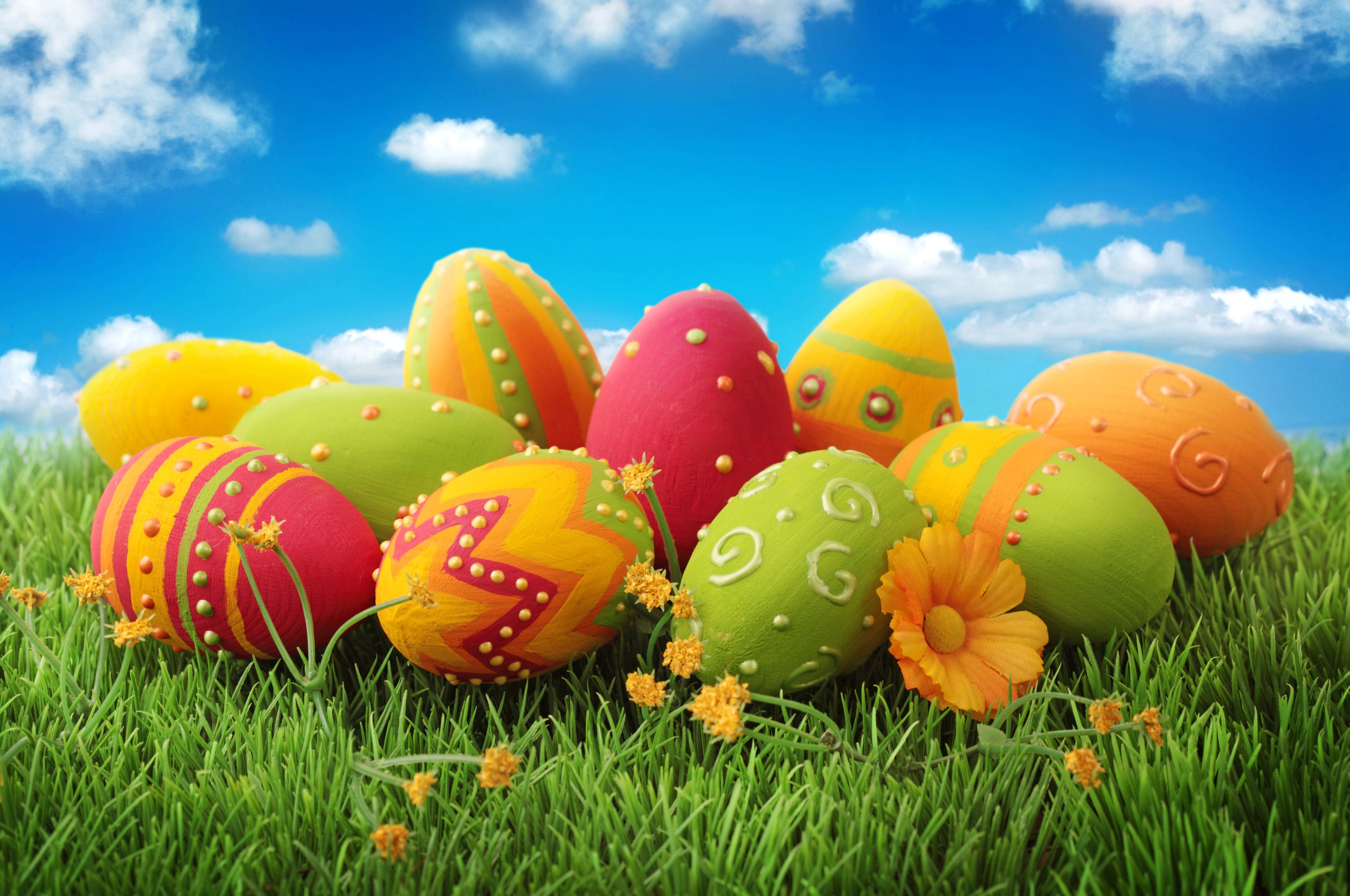 Easter Eggs on Green Grass Under Blue Sky HD Wallpaper