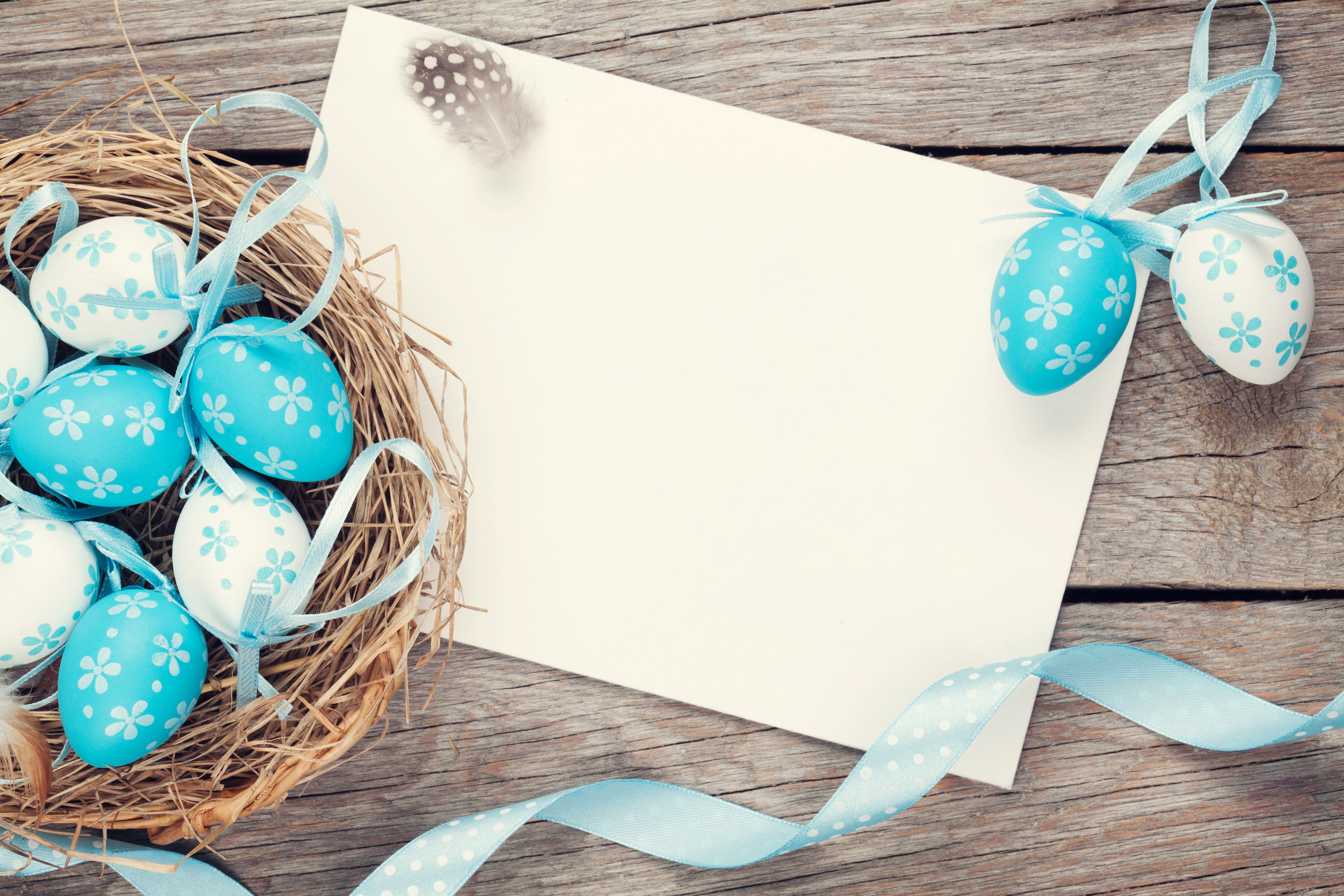Easter Eggs in Nest with Blank Card and Feather HD Wallpaper