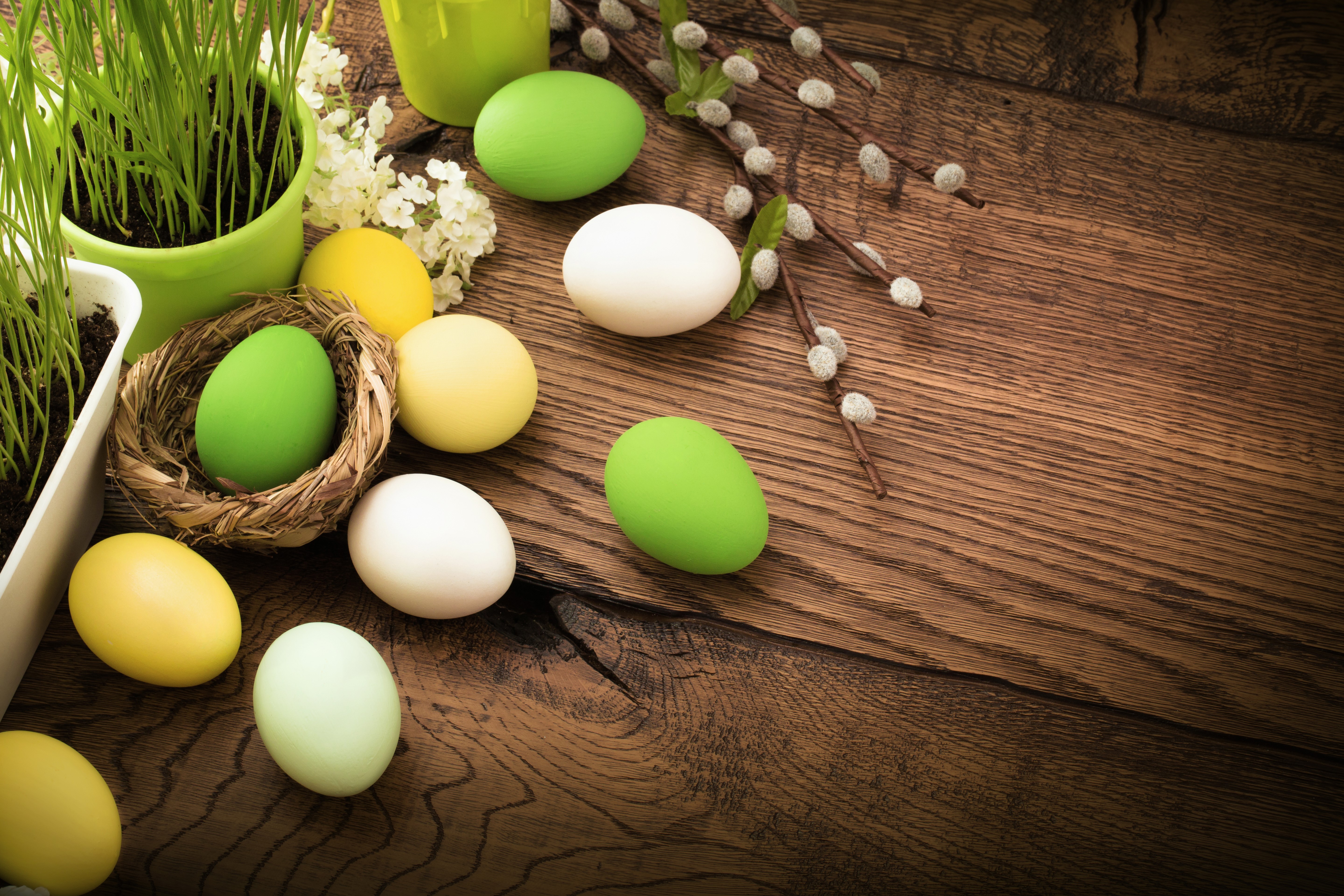 Easter Eggs in a Nest with Pussy Willows HD Wallpaper