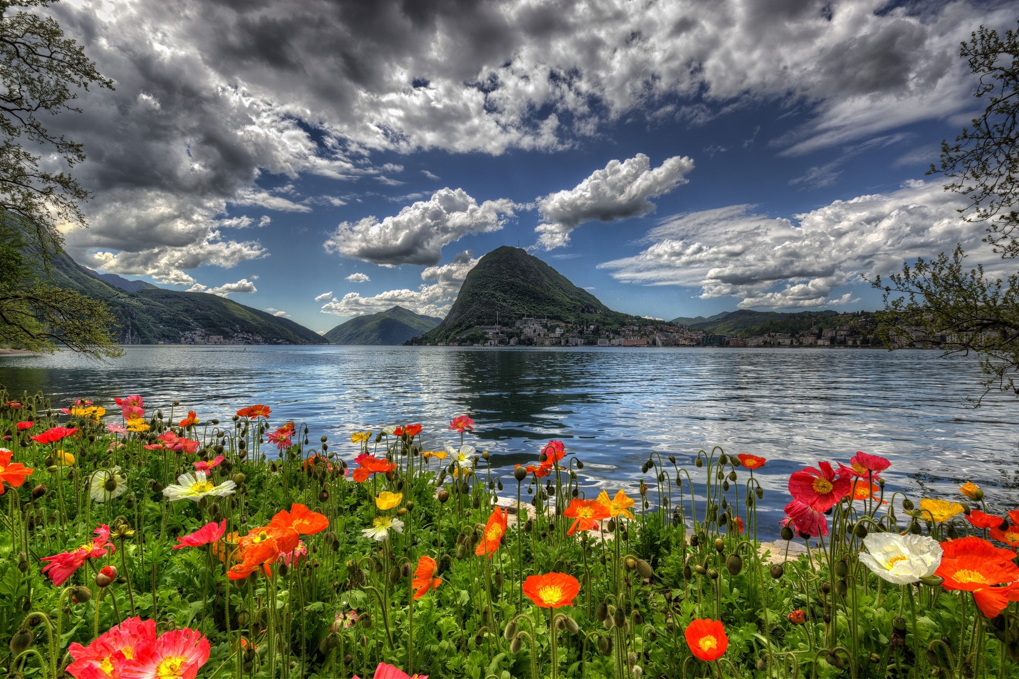 Poppies by Lake Lugano, Switzerland HD Wallpaper