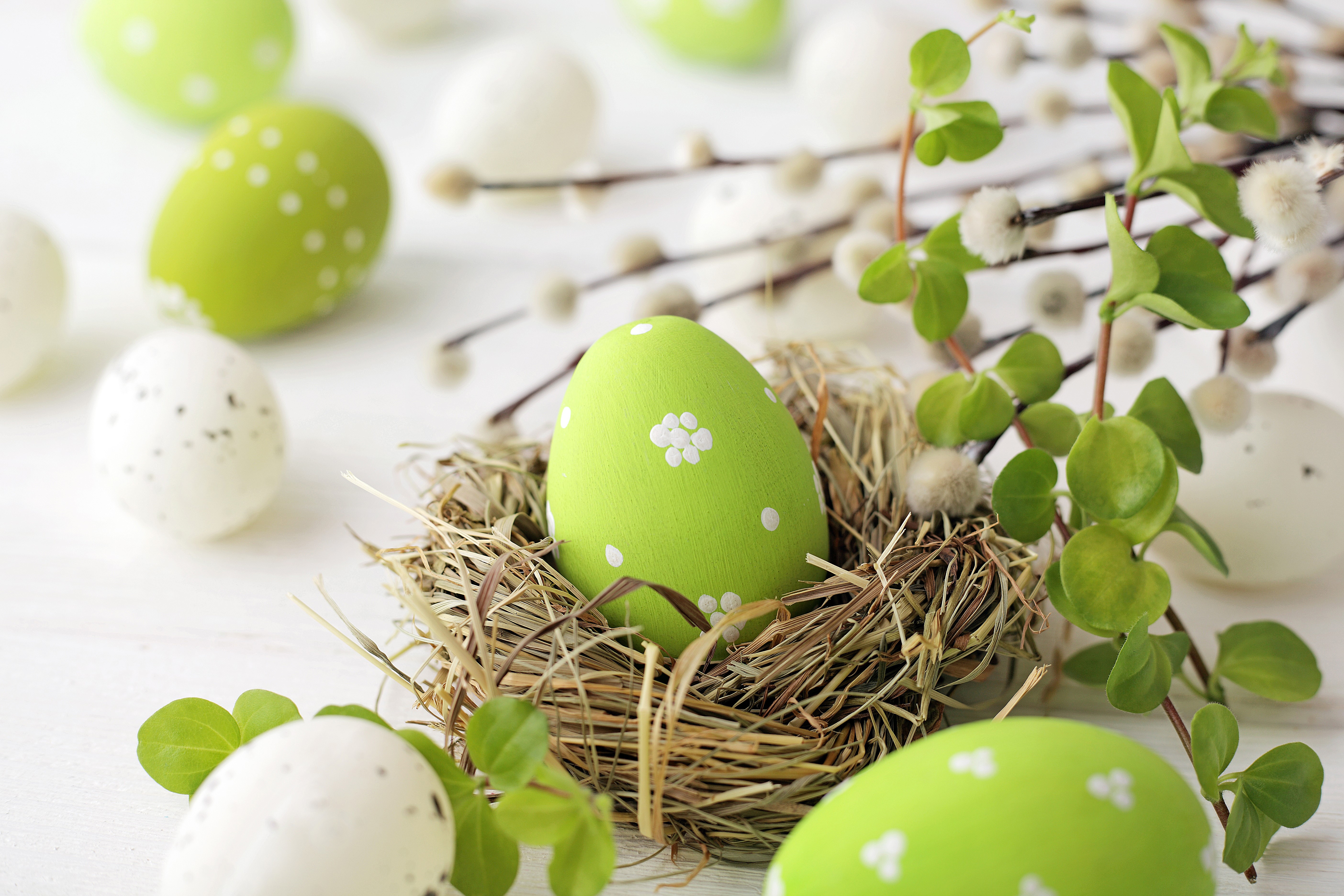 Easter Eggs in a Nest with Pussy Willow Branches HD Wallpaper