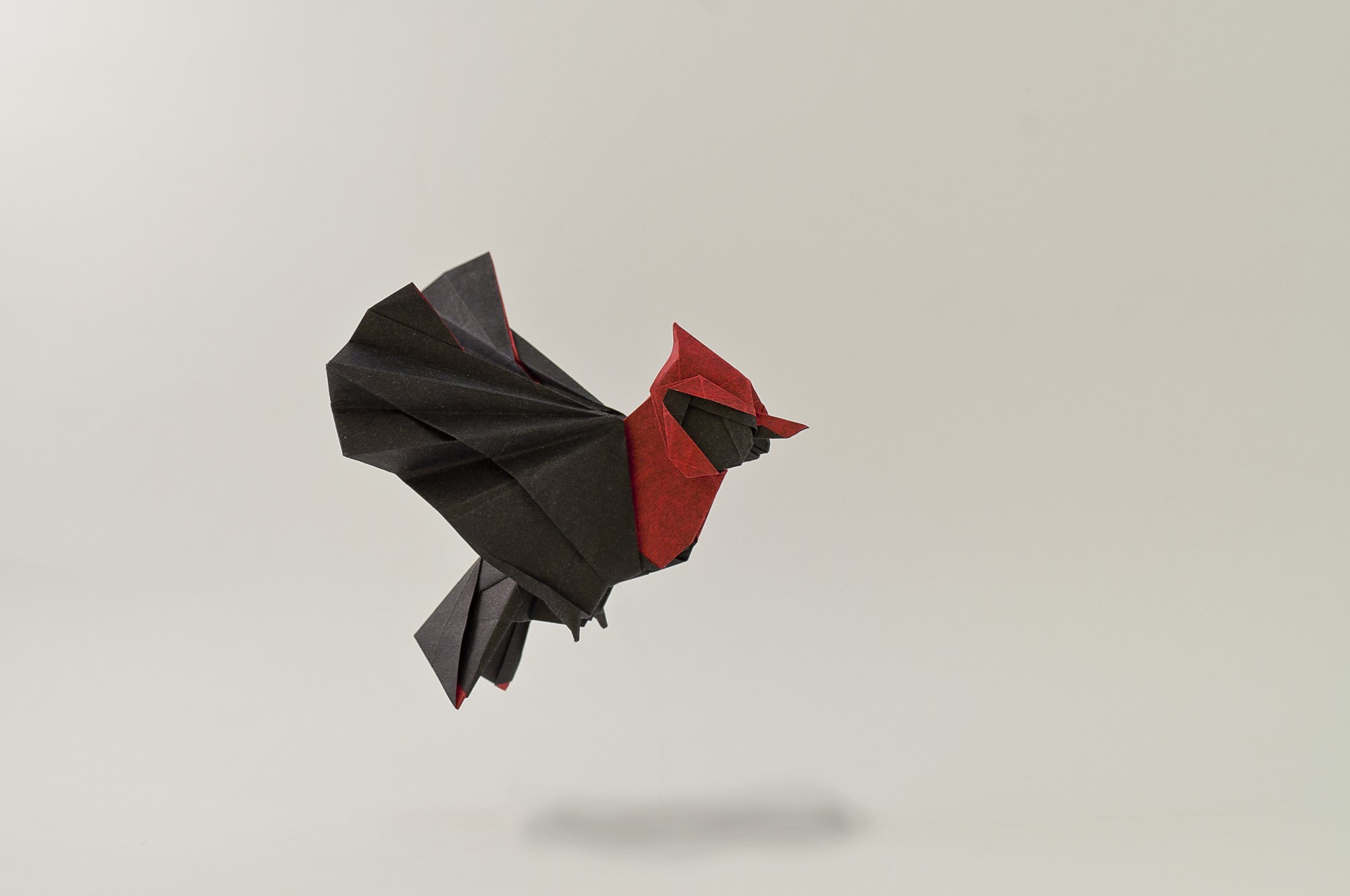 Origami cardinal bird in flight HD Wallpaper