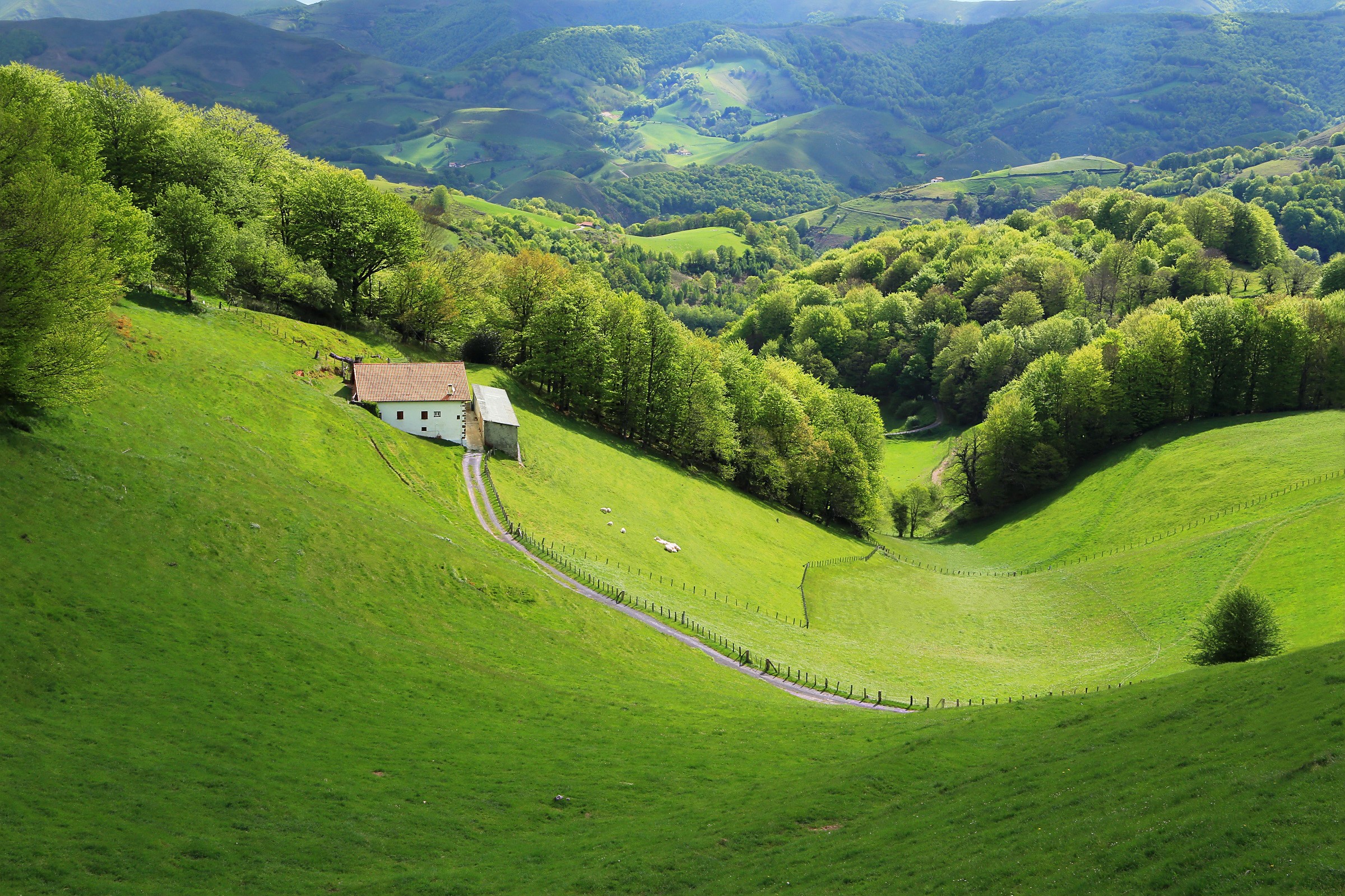 Green rolling hills with a house in Esnazu, Aquitaine, France HD Wallpaper
