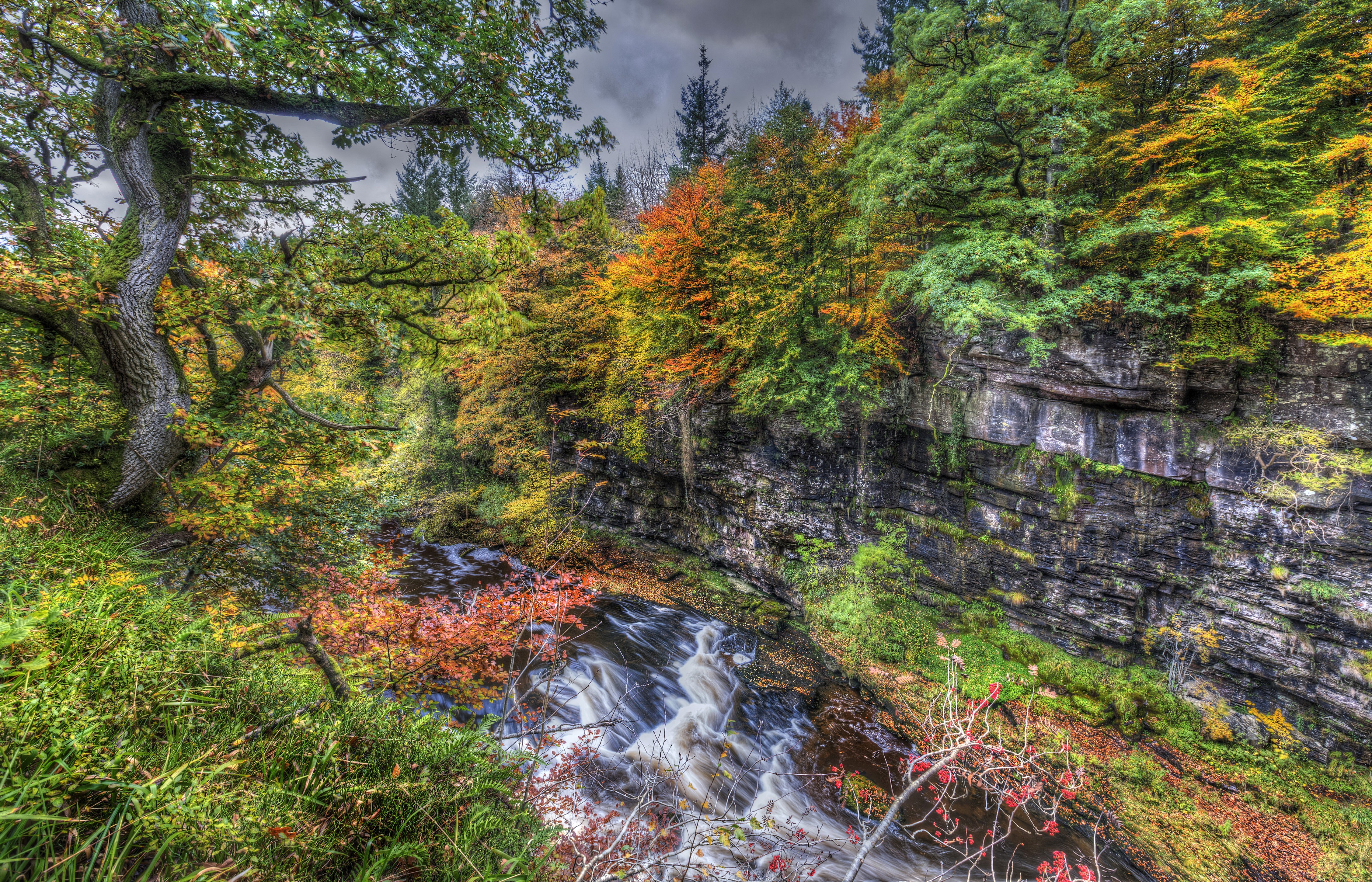 Autumn Waterfall in Clyde Valley Woodlands, Scotland HD Wallpaper