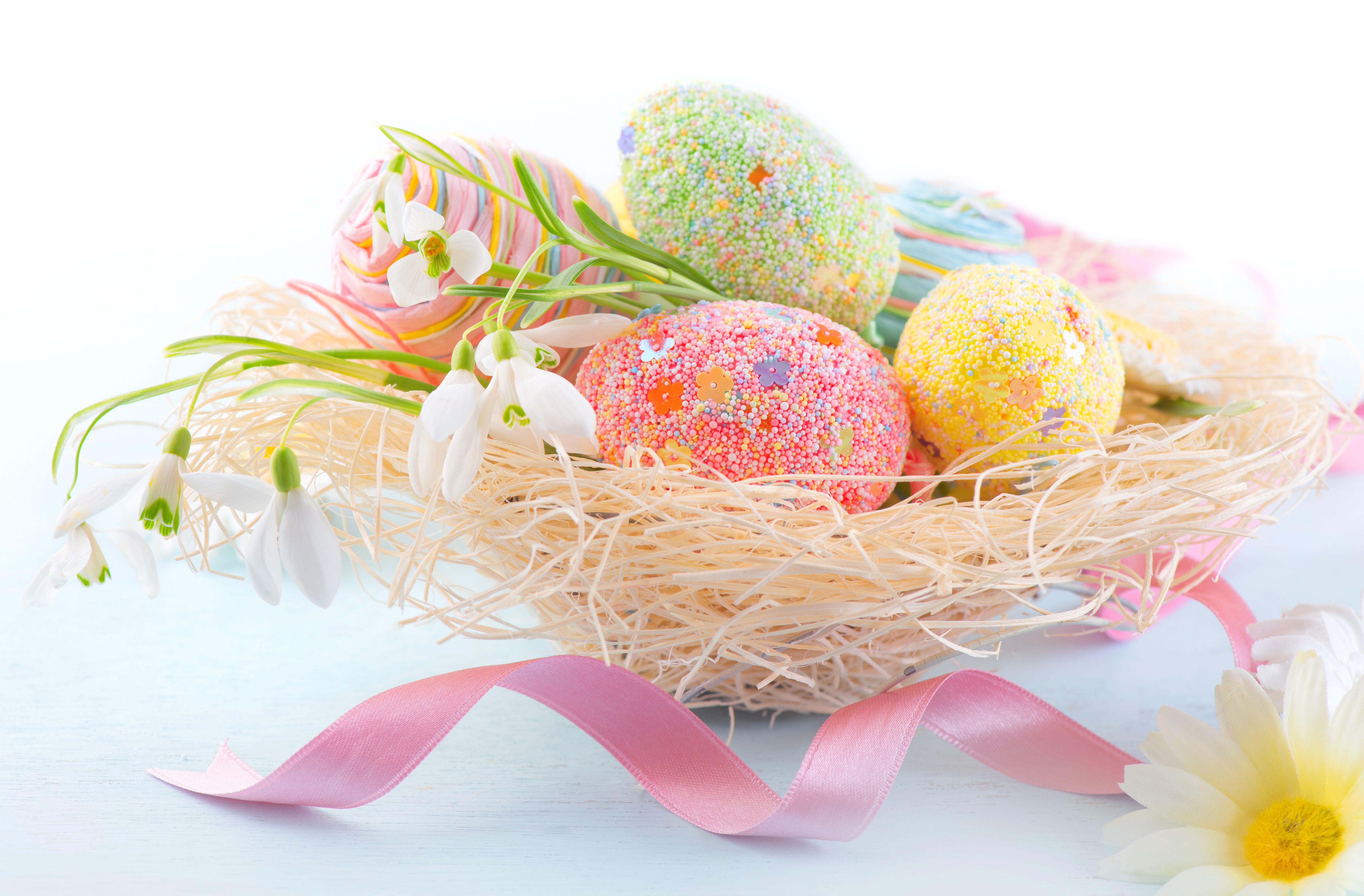 Easter Eggs in a Nest with Snowdrops and Ribbon HD Wallpaper