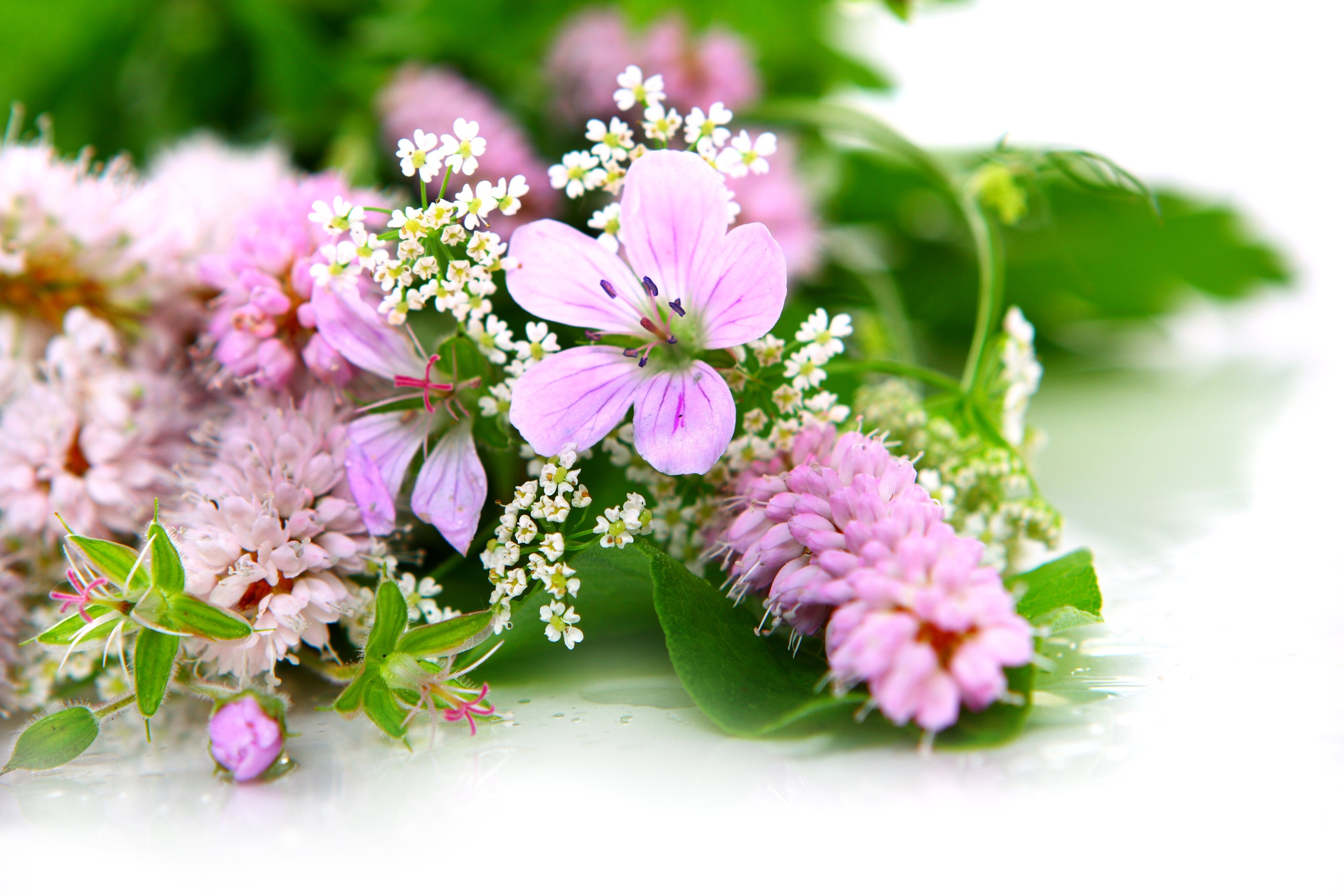 Bouquet of pink and white wildflowers HD Wallpaper
