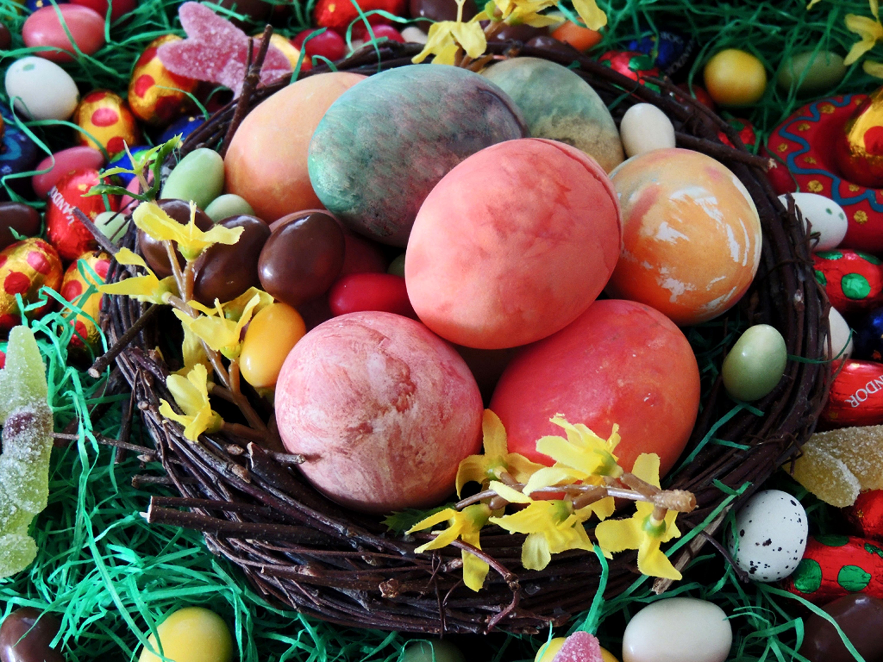 Easter eggs and candies in a nest HD Wallpaper