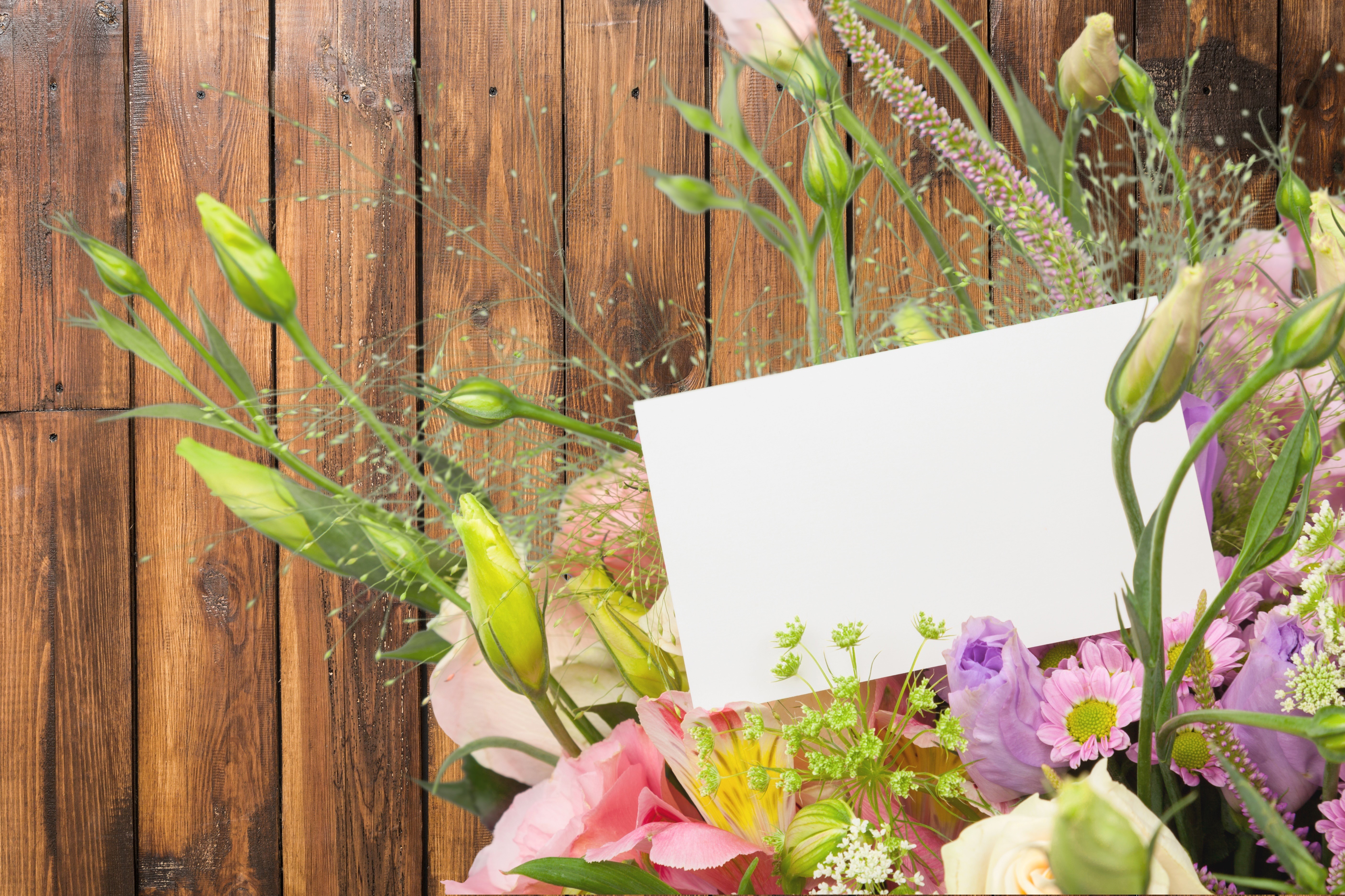 Eustoma flower buds and greeting card on wooden background HD Wallpaper