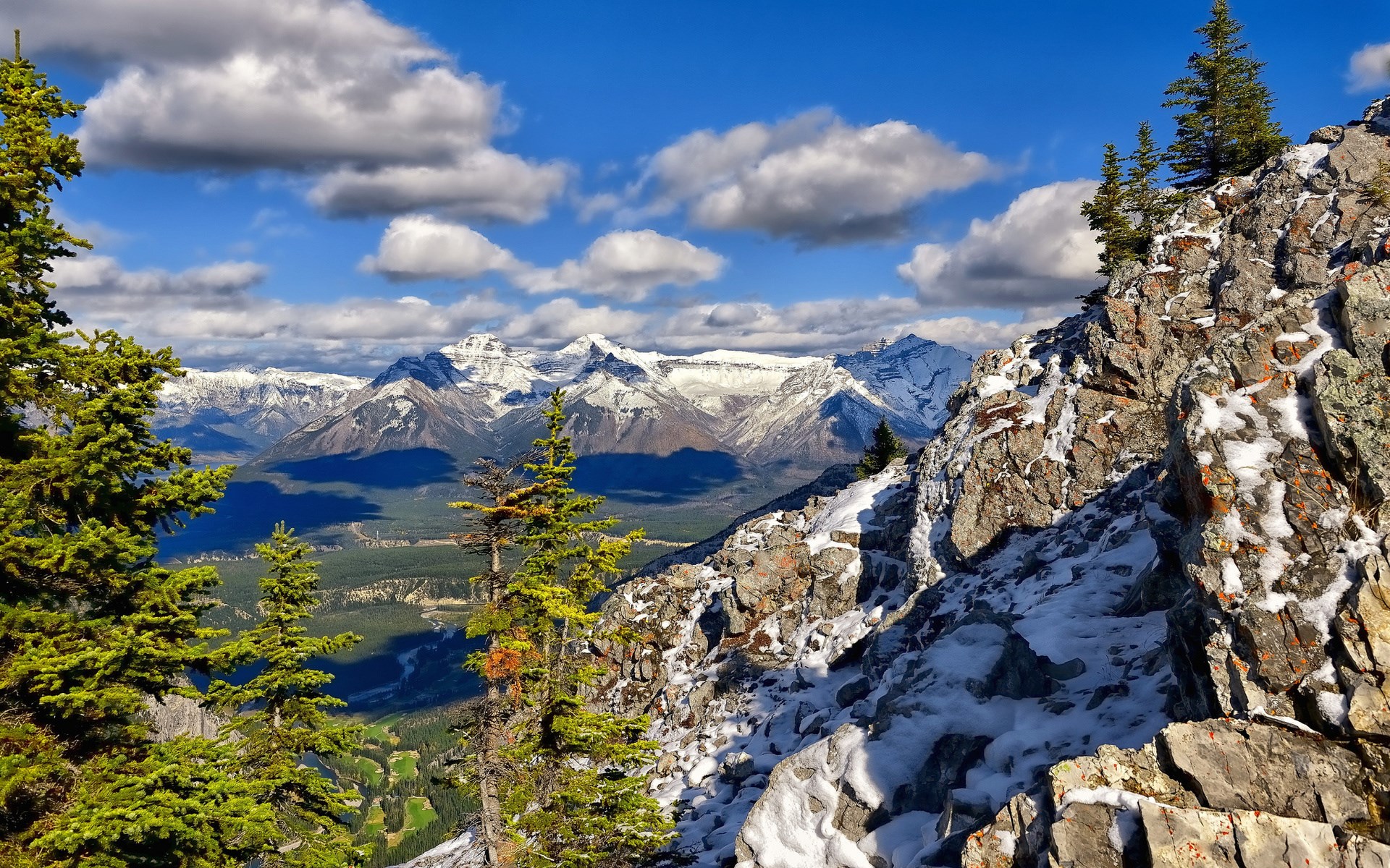 Snow-capped mountains and pine trees on a rocky ridge HD Wallpaper