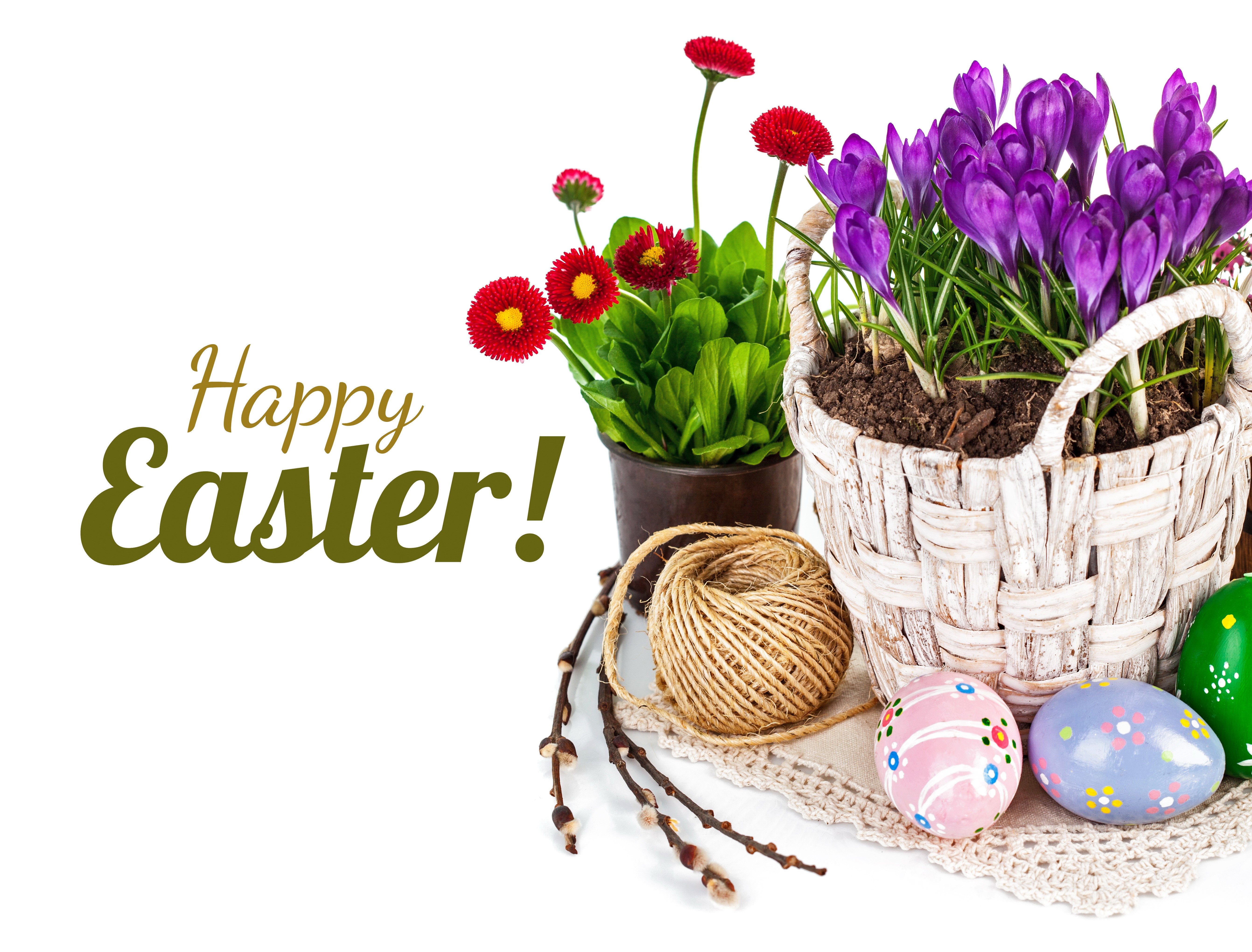 Happy Easter with Crocuses and Eggs HD Wallpaper