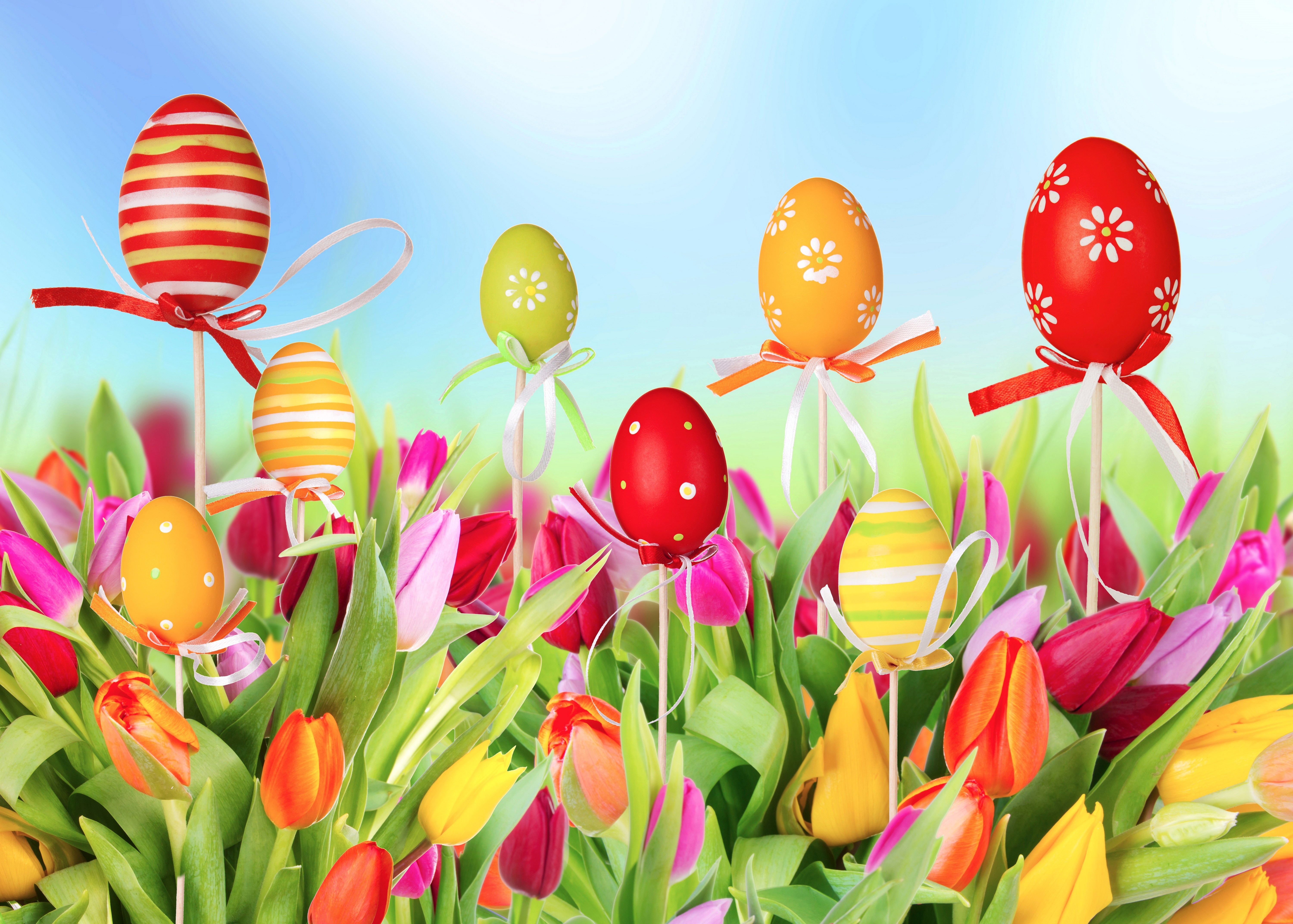 Easter Eggs and Tulips in a Field HD Wallpaper