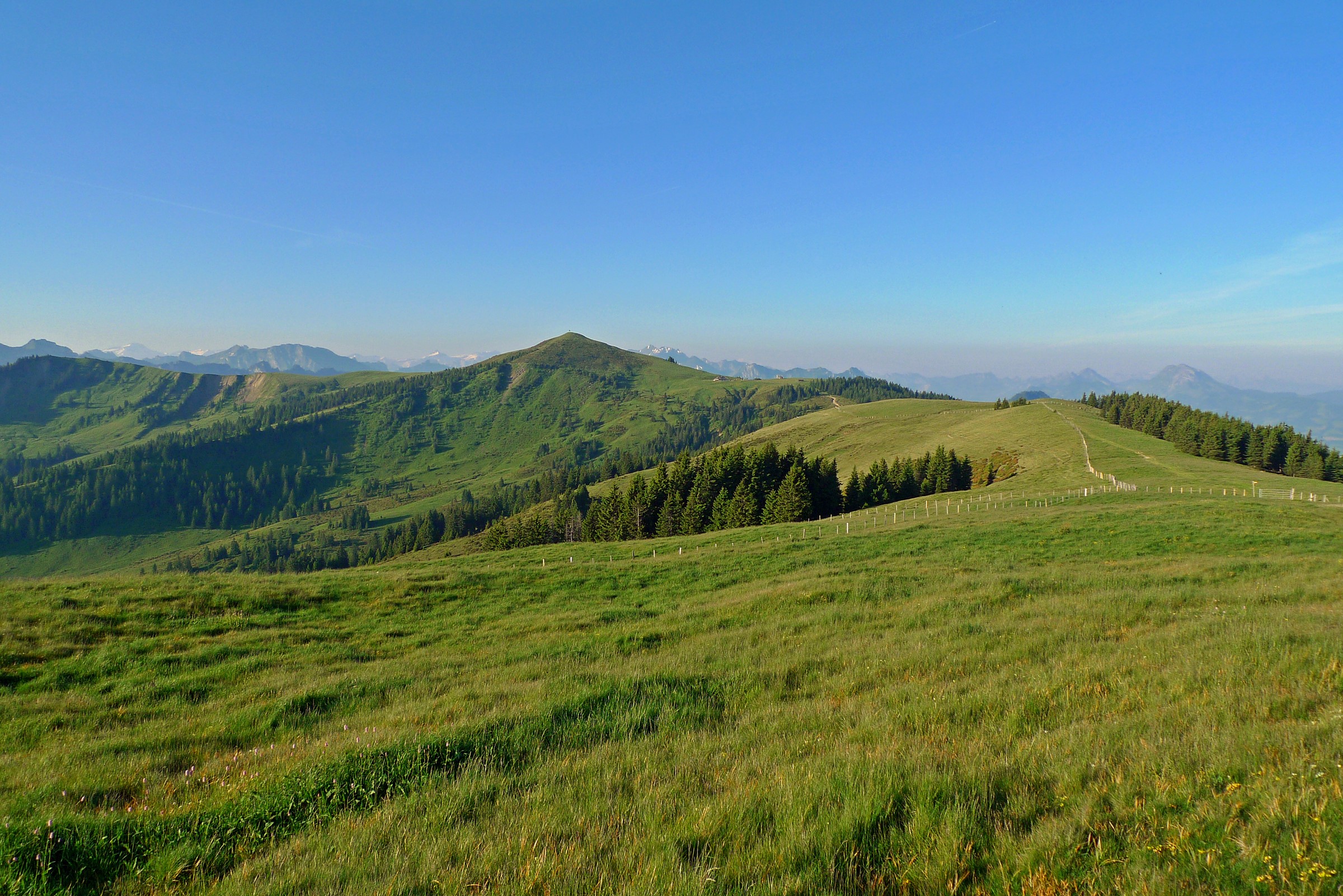 Green mountain landscape with trees and blue sky HD Wallpaper