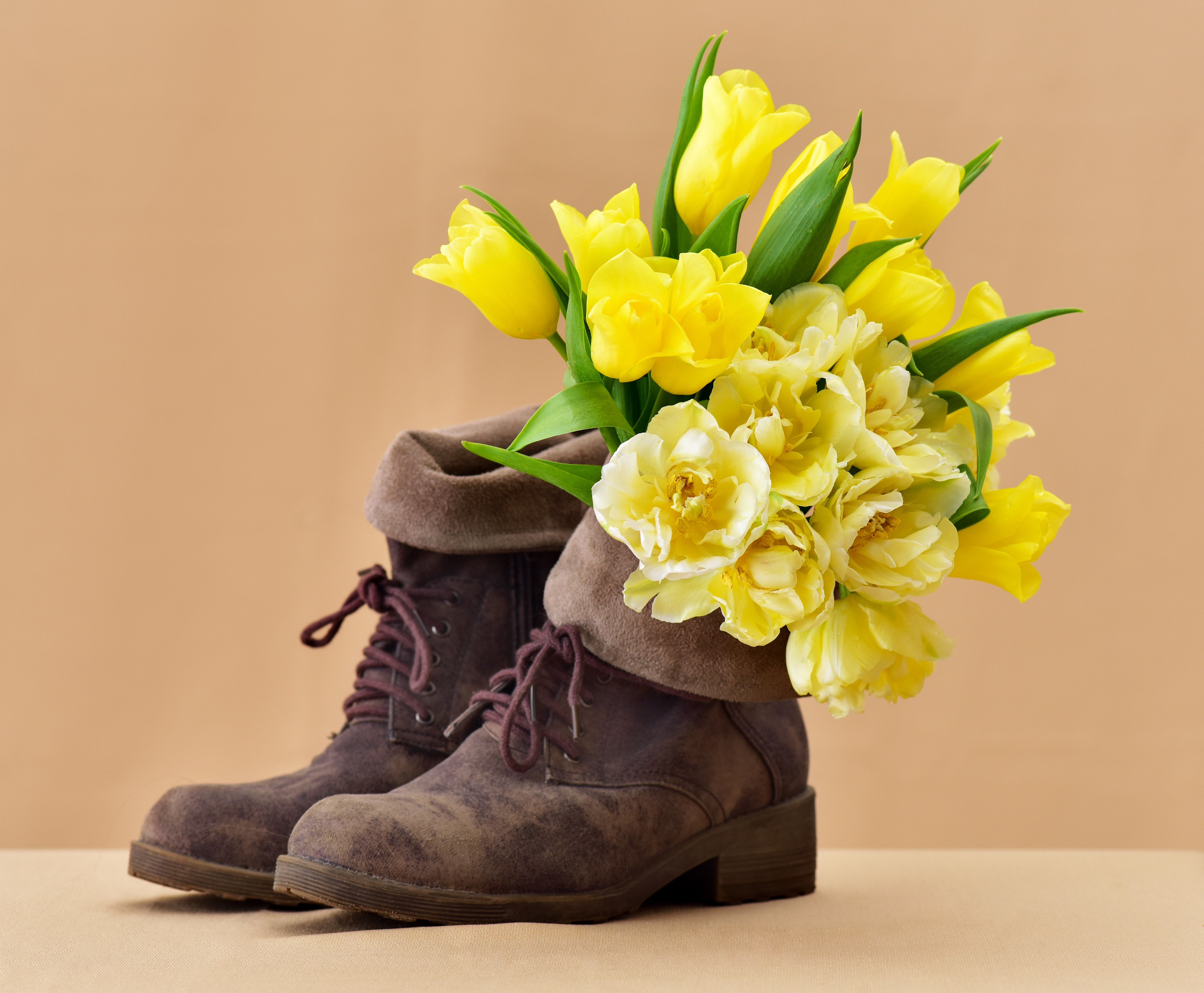 Yellow Tulips in Brown Boots HD Wallpaper