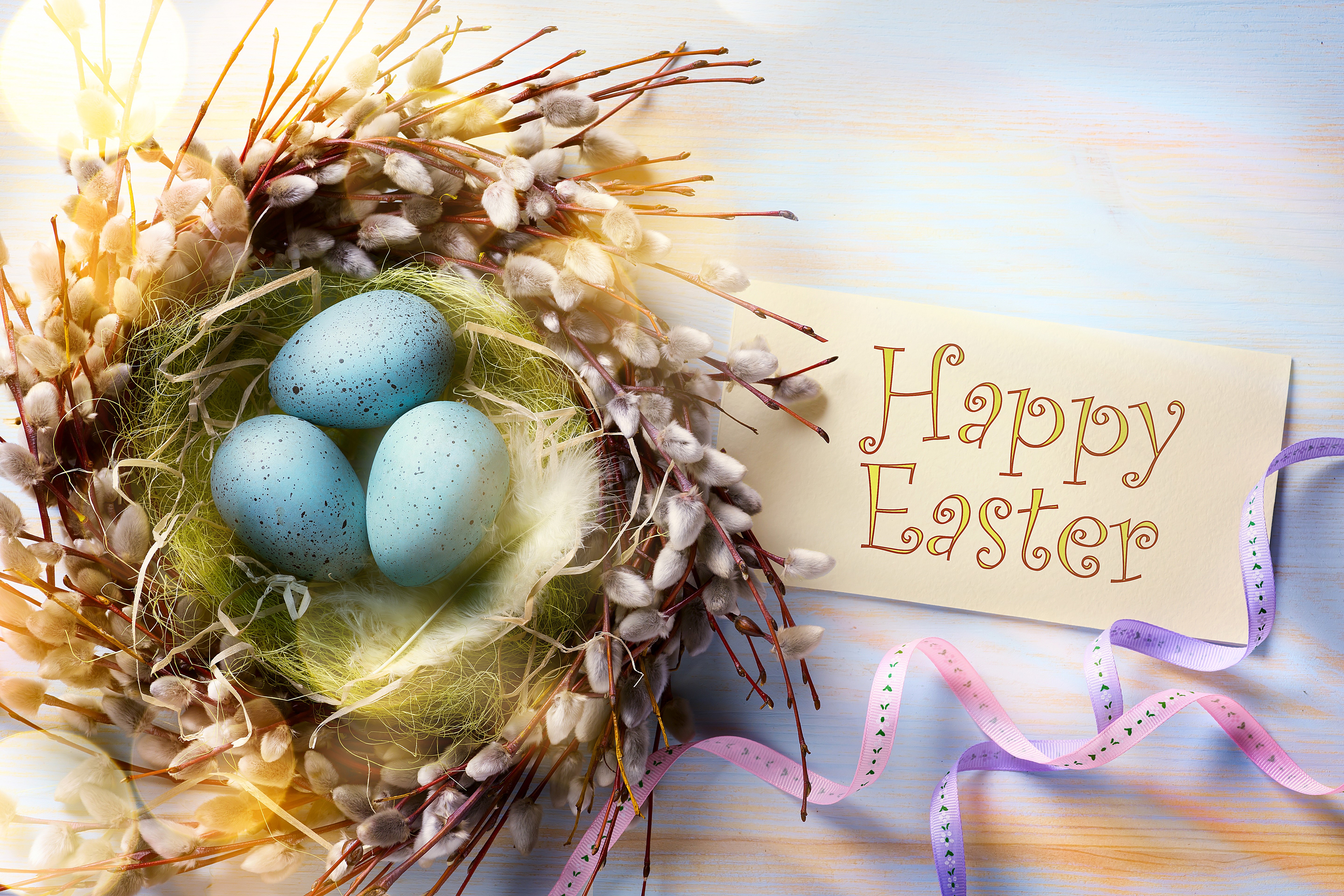 Easter eggs in a nest with a Happy Easter card HD Wallpaper