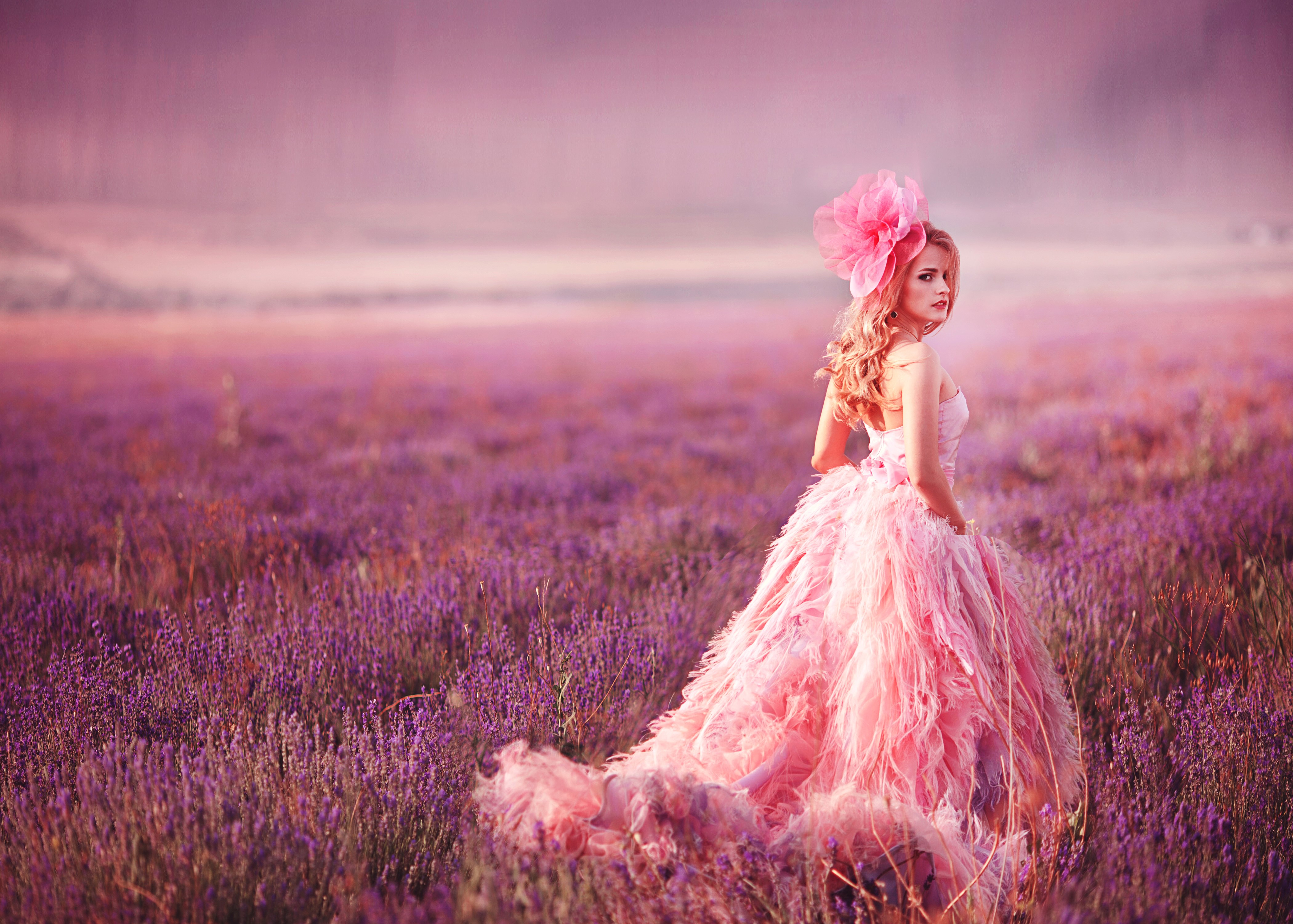 Woman in pink dress in lavender field HD Wallpaper