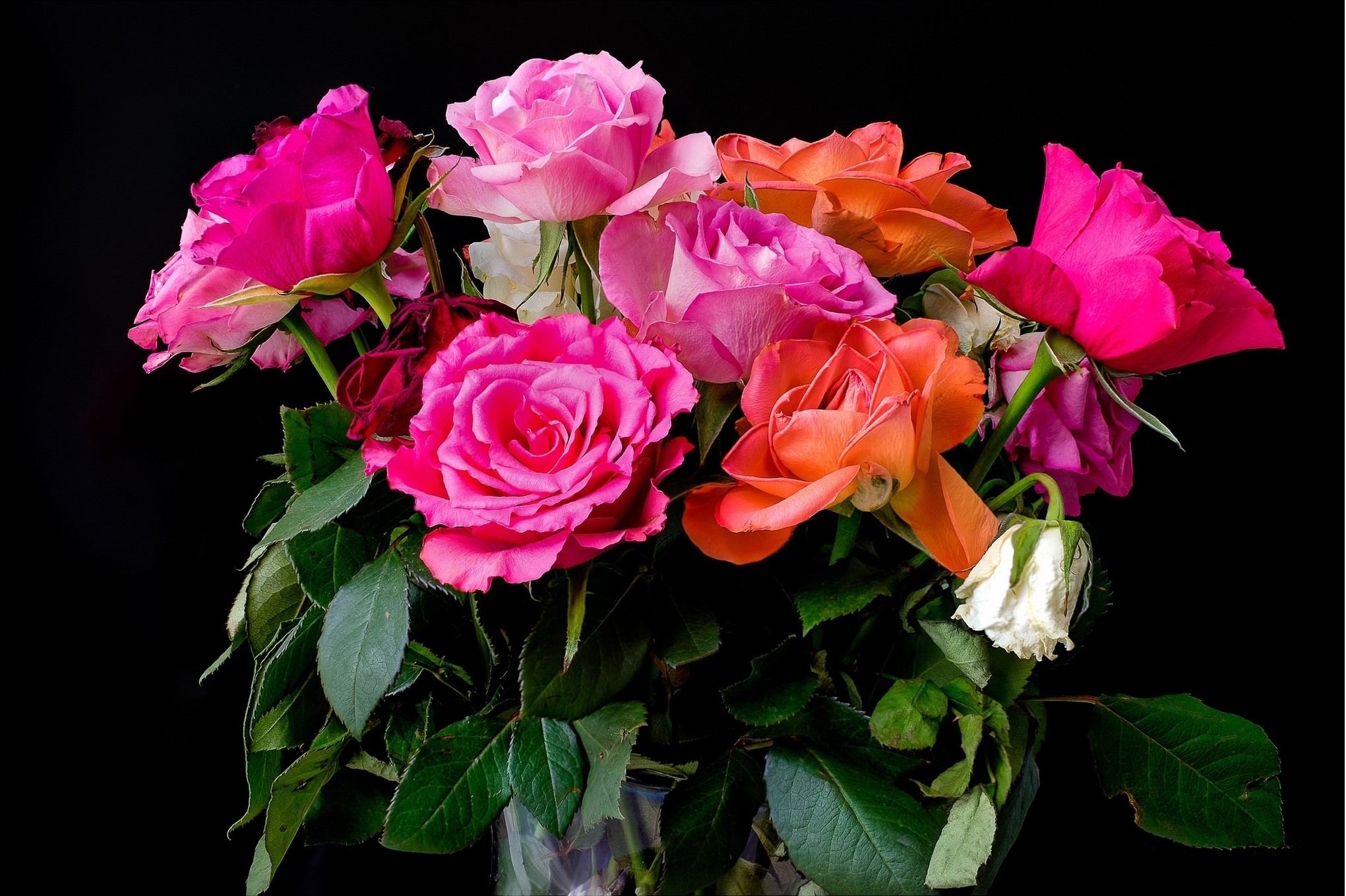 Bouquet of Roses HD Wallpaper