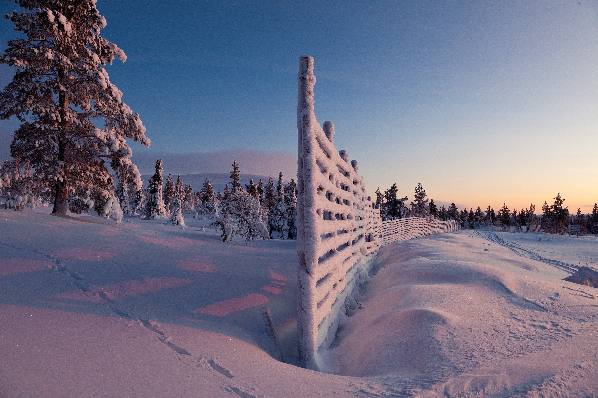 Snow covered fence in a winter forest at sunset HD Wallpaper