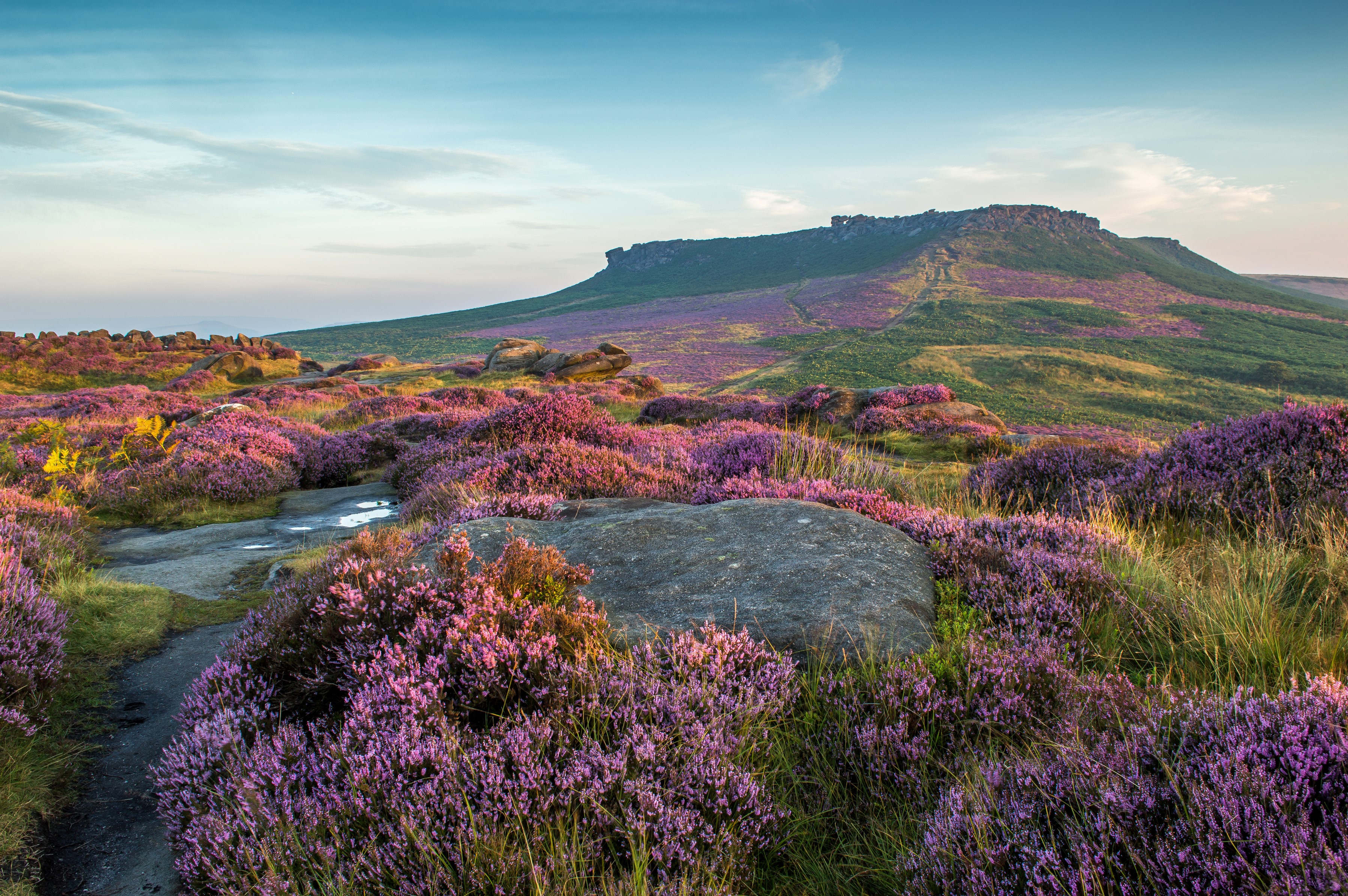 Heather moorland and rocky outcrop in Peak District National Park HD Wallpaper