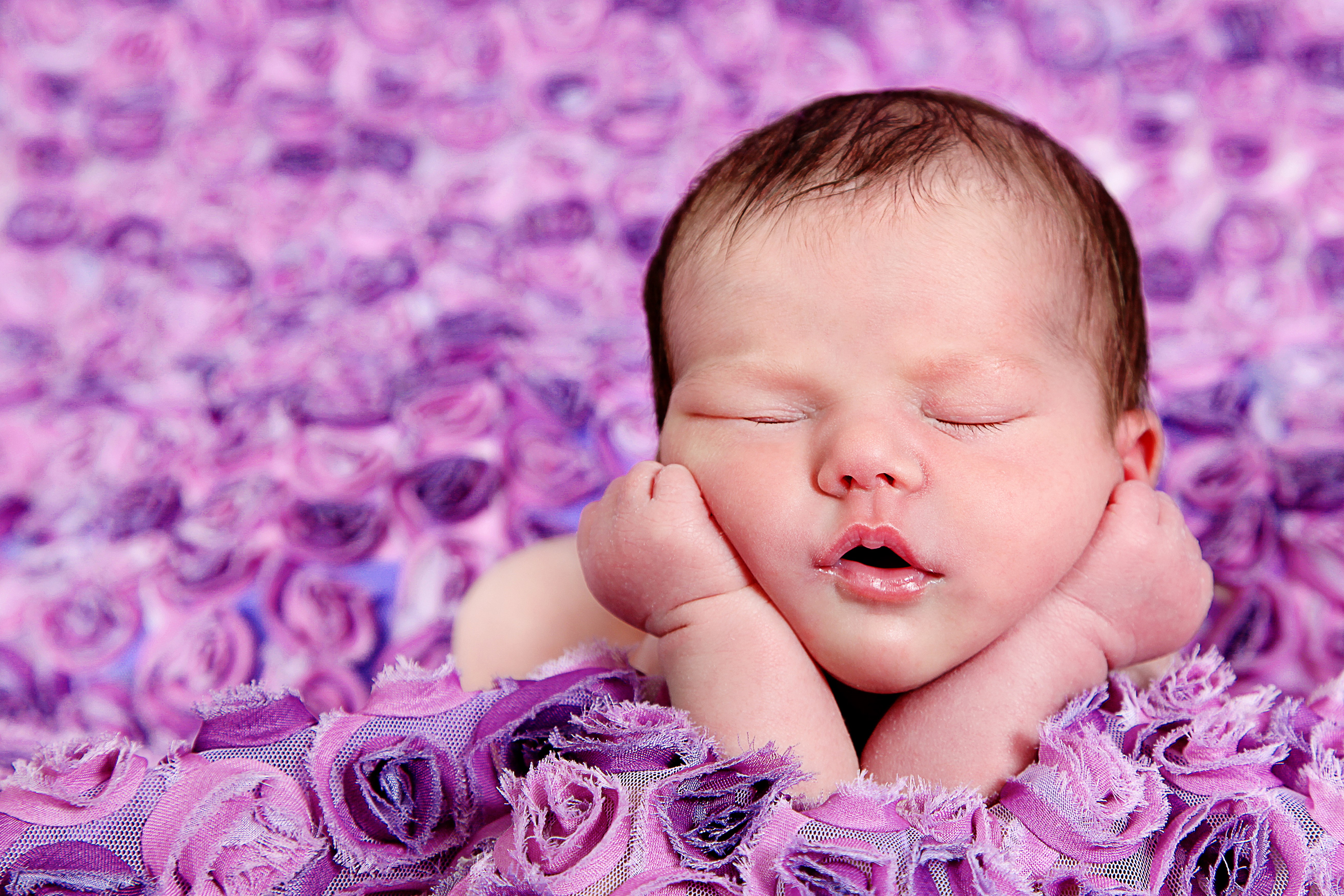 Newborn baby sleeping on purple flowers HD Wallpaper