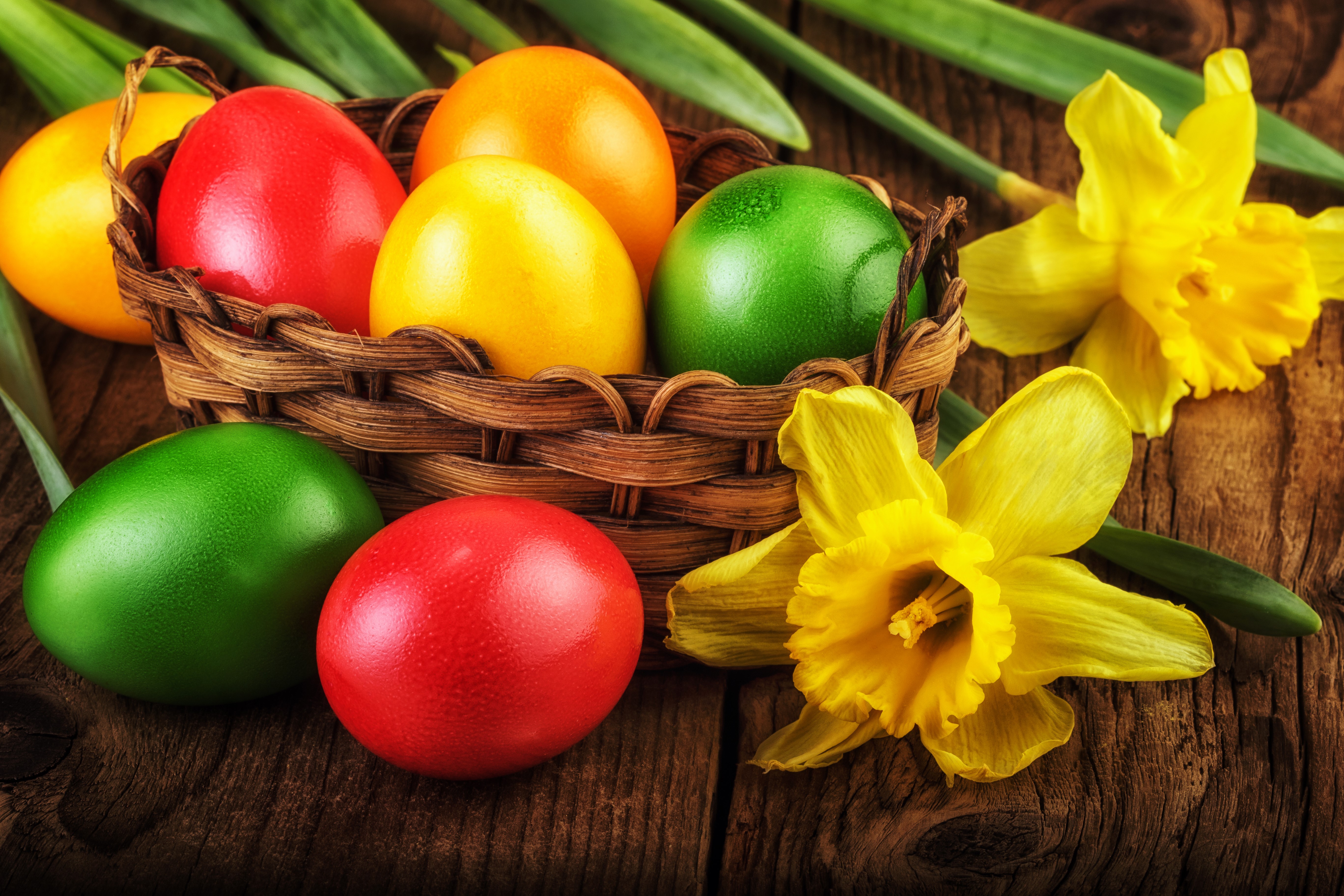 Easter eggs in a wicker basket with daffodils HD Wallpaper