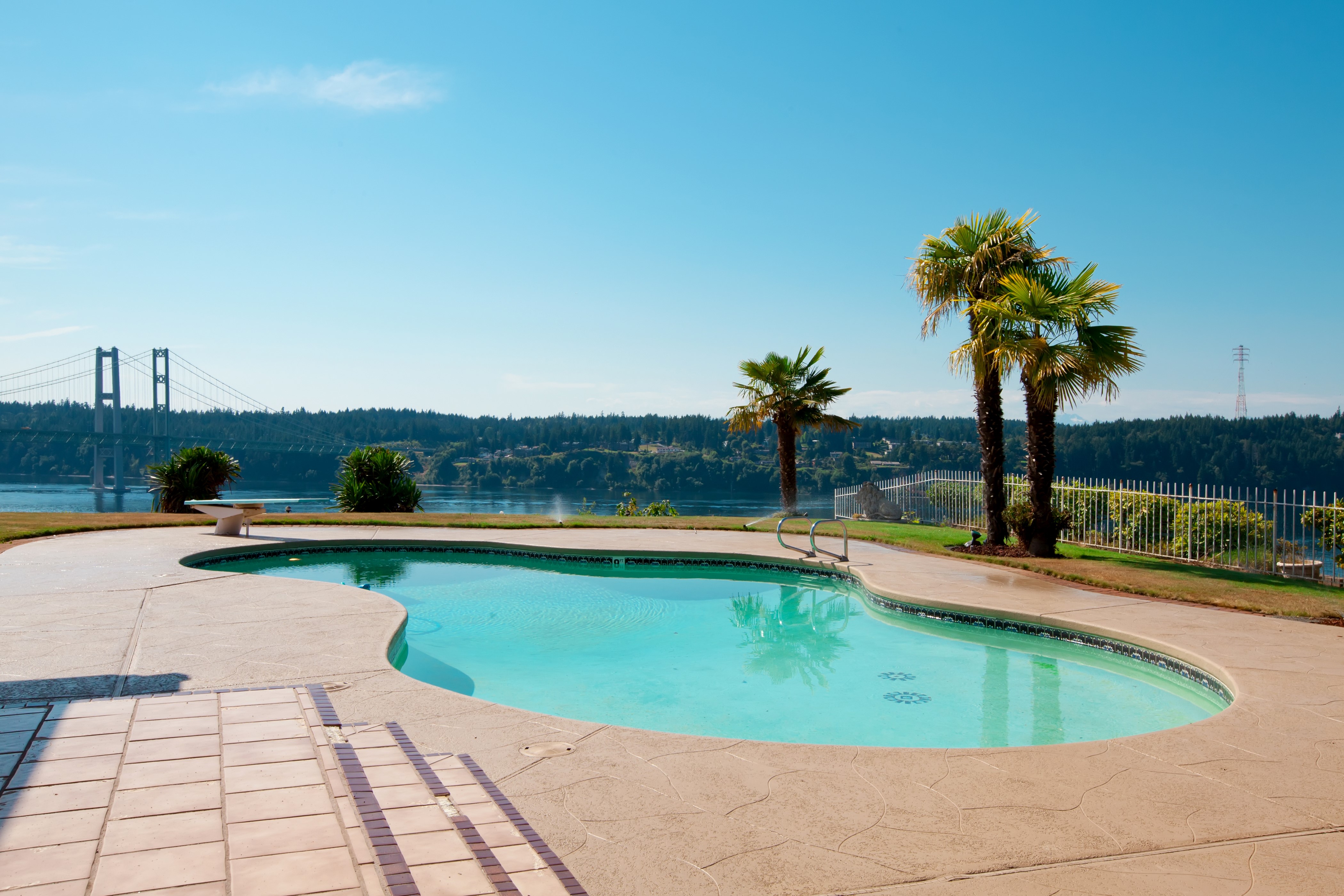 Swimming Pool with Narrows Bridge and Palm Trees in Washington HD Wallpaper