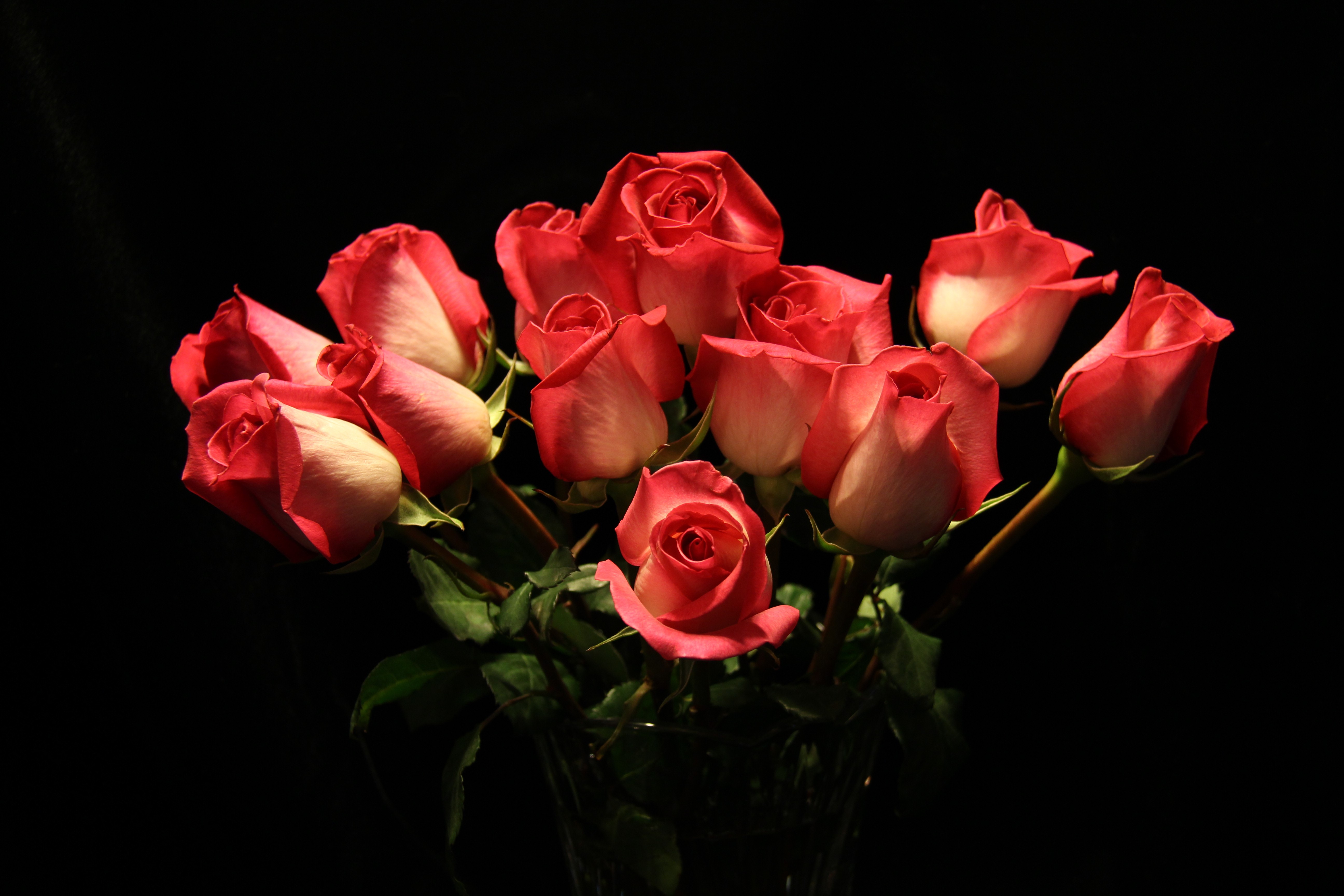 Bouquet of red and white roses HD Wallpaper
