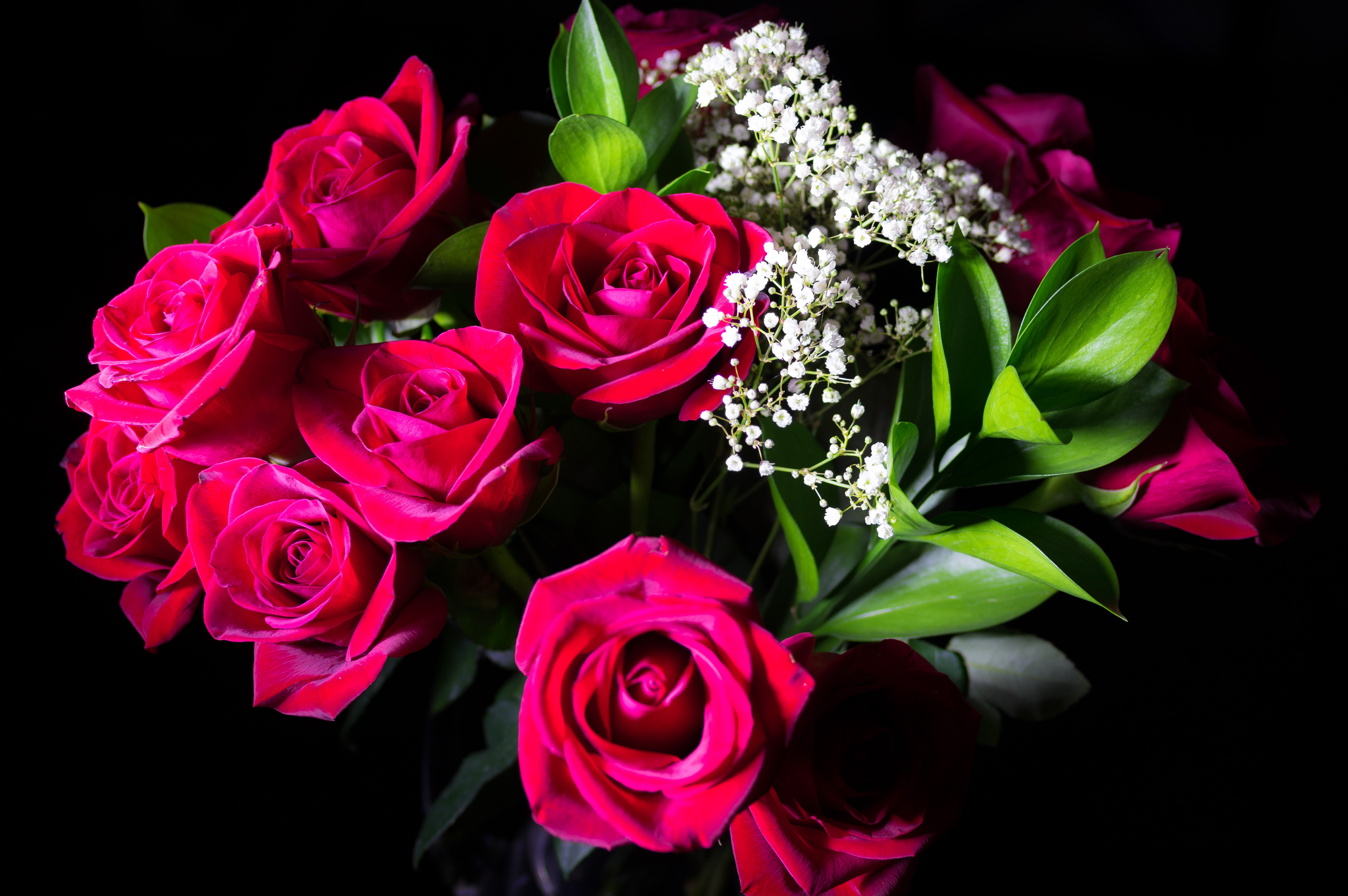 Bouquet of Red Roses with Baby's Breath HD Wallpaper