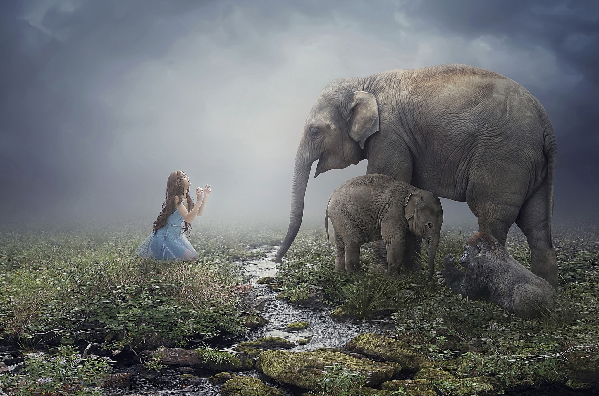 Girl praying near elephants and gorilla by stream HD Wallpaper