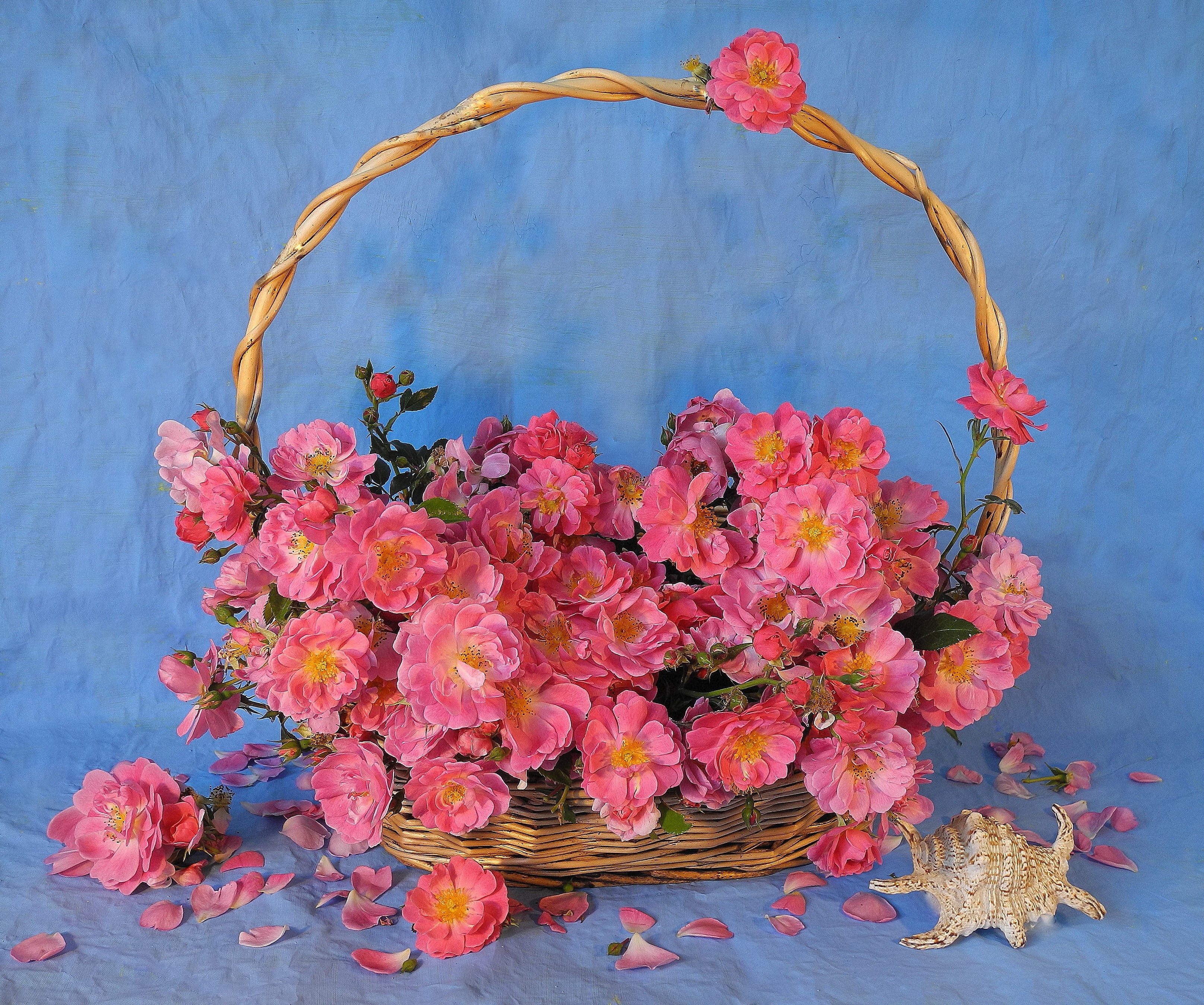 Pink roses in a wicker basket with a seashell HD Wallpaper