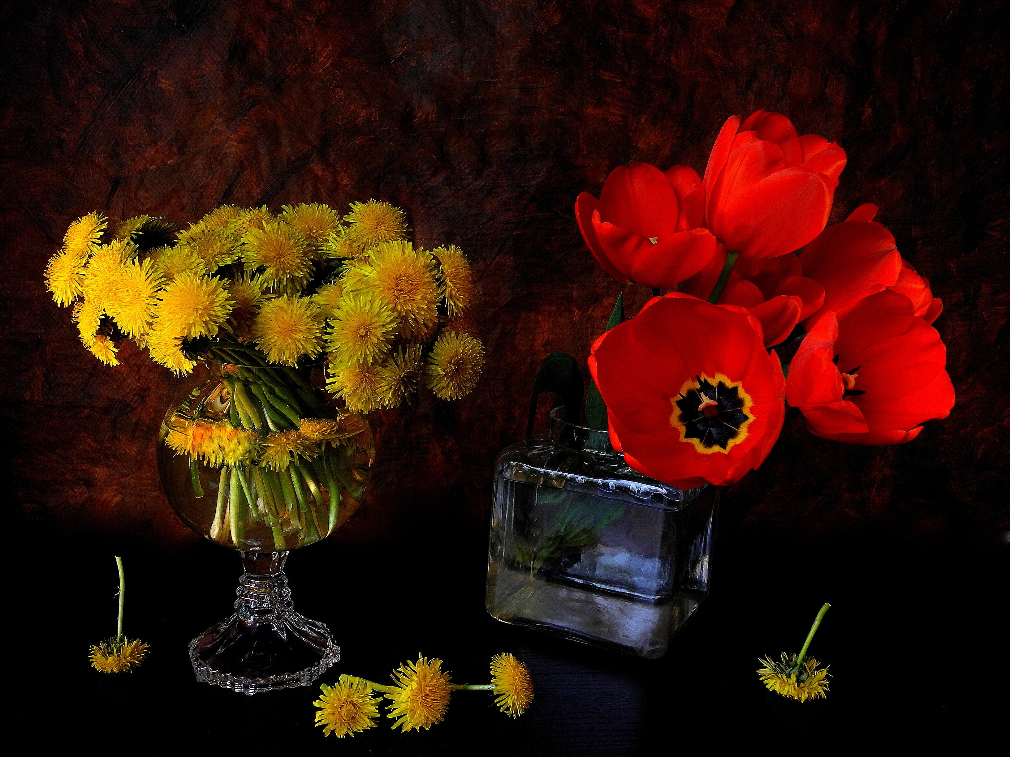 Still-life of Dandelions and Tulips in Vases HD Wallpaper