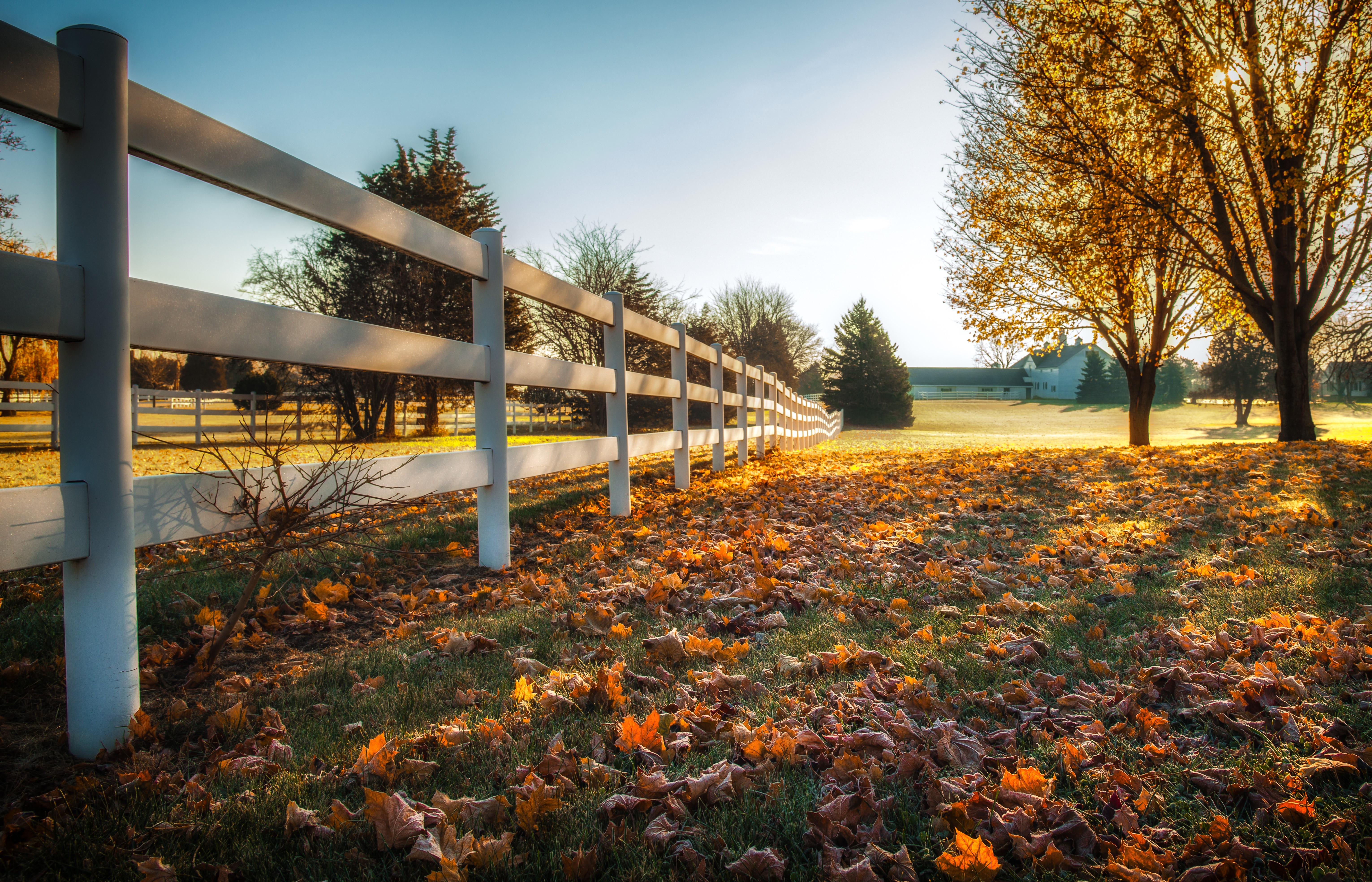 Autumn fence with fallen leaves and trees HD Wallpaper