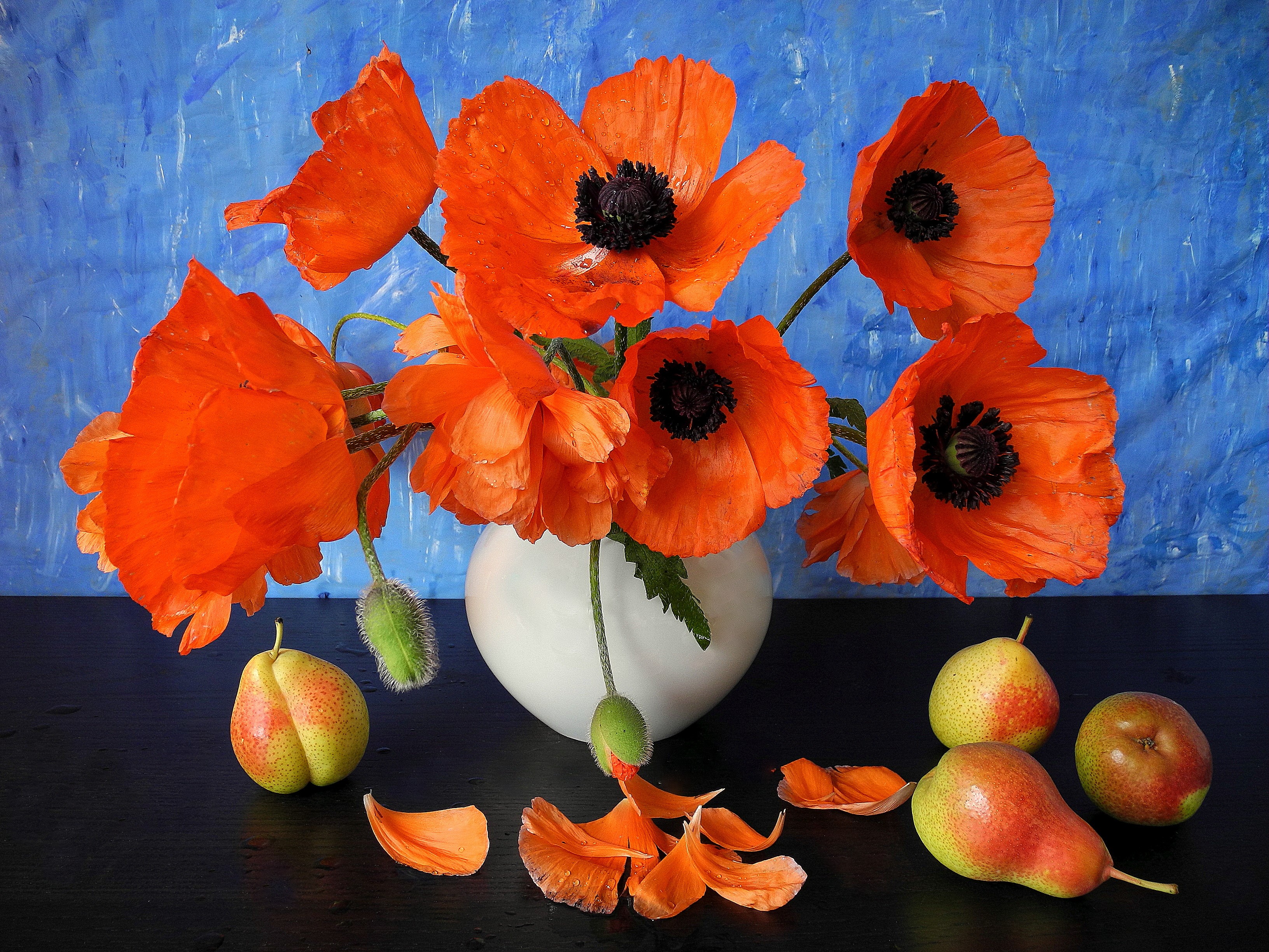 Still-life of orange poppies and pears in a vase HD Wallpaper