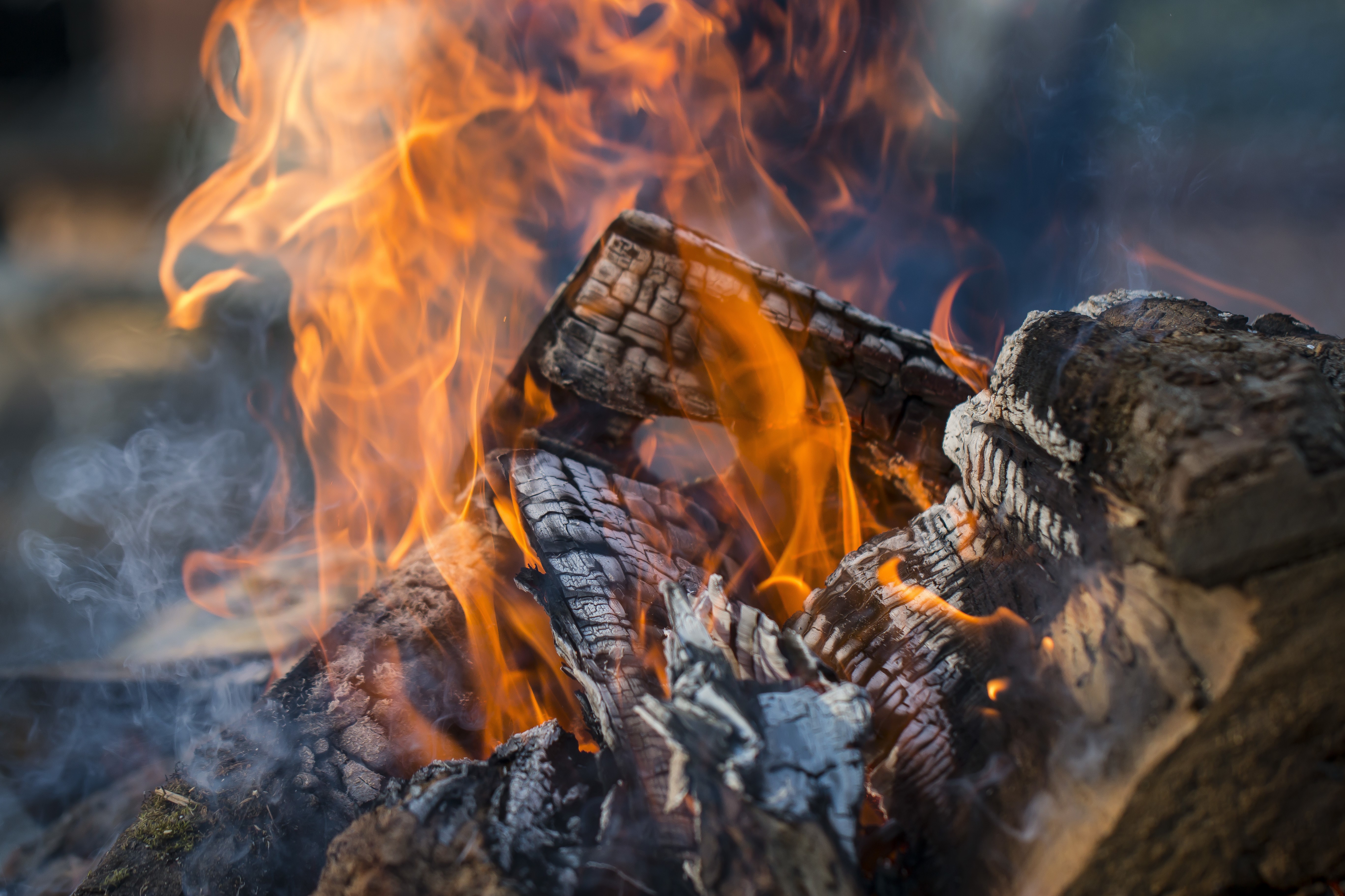 Fire burning on logs HD Wallpaper