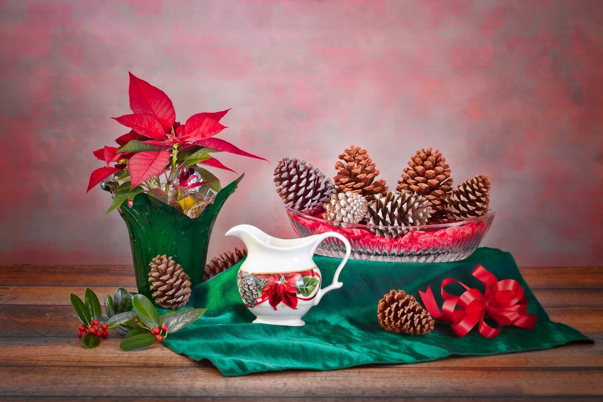 Christmas still life with poinsettia and pine cones HD Wallpaper