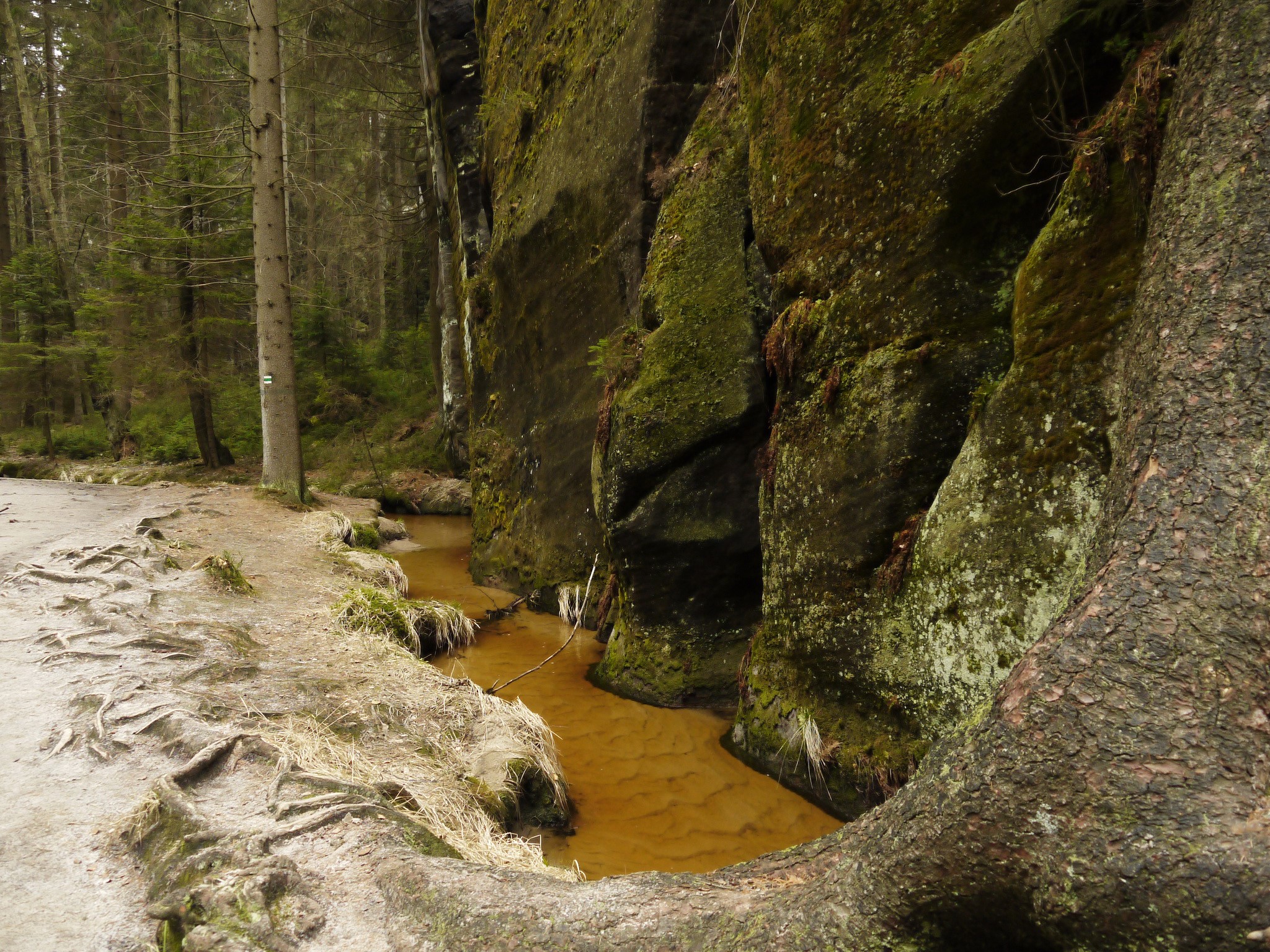 Stream flowing between moss-covered rocks in Dolni Adrspach, Czech Republic HD Wallpaper