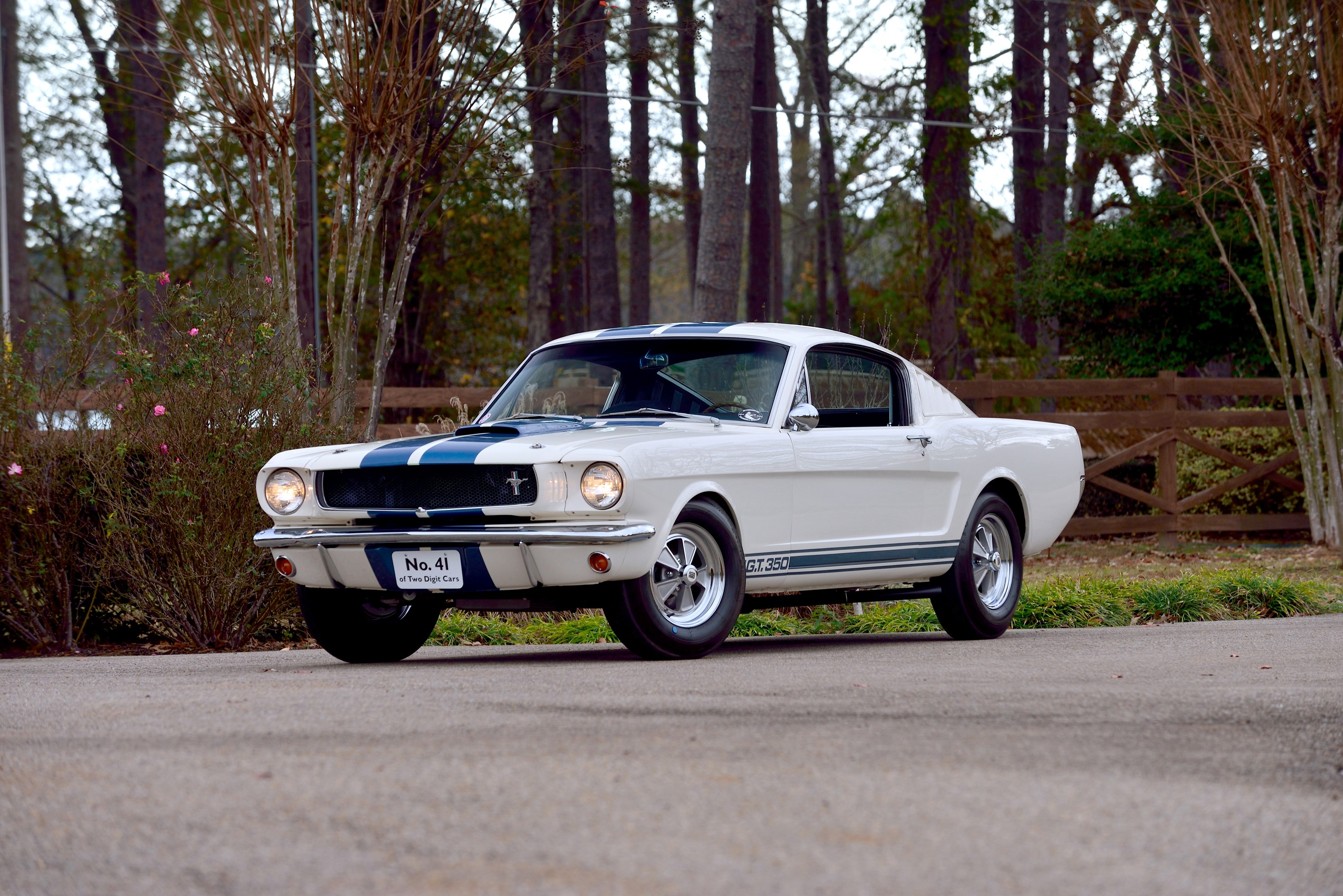 1965 Shelby GT350 Mustang with LeMans stripes HD Wallpaper
