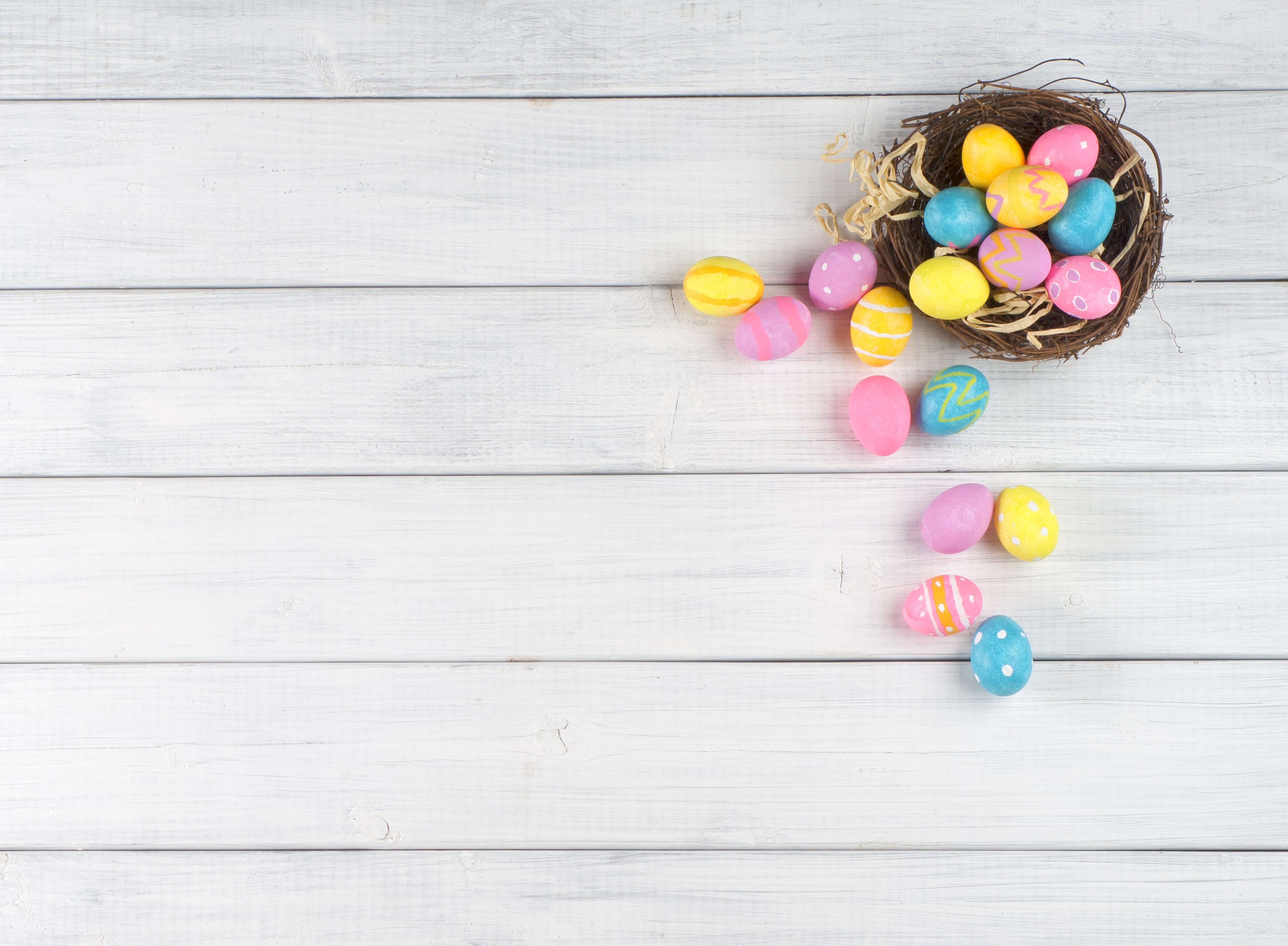 Easter Eggs in a Nest on White Wood HD Wallpaper