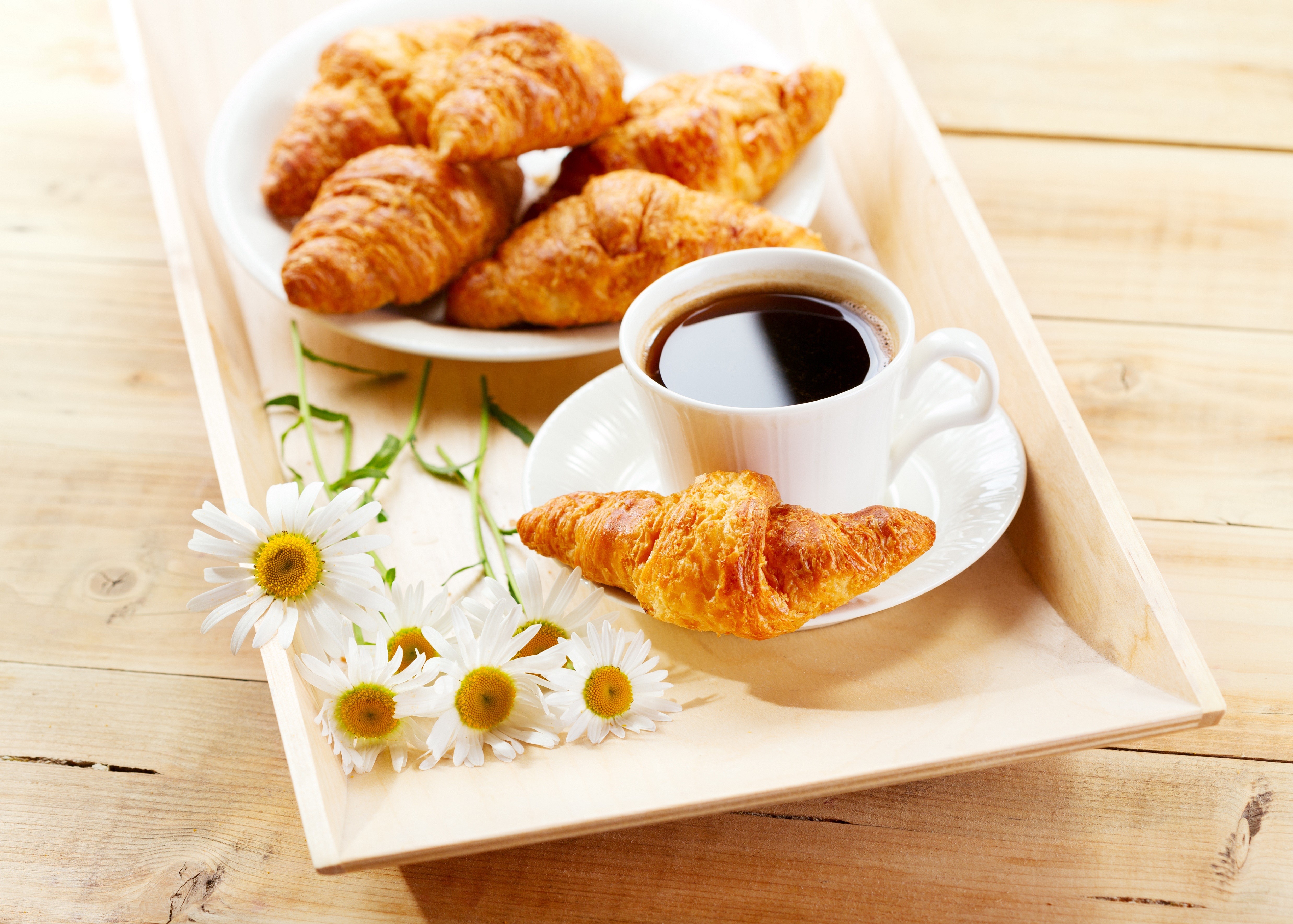 4K Coffee and Croissants with Daisies HD Wallpaper