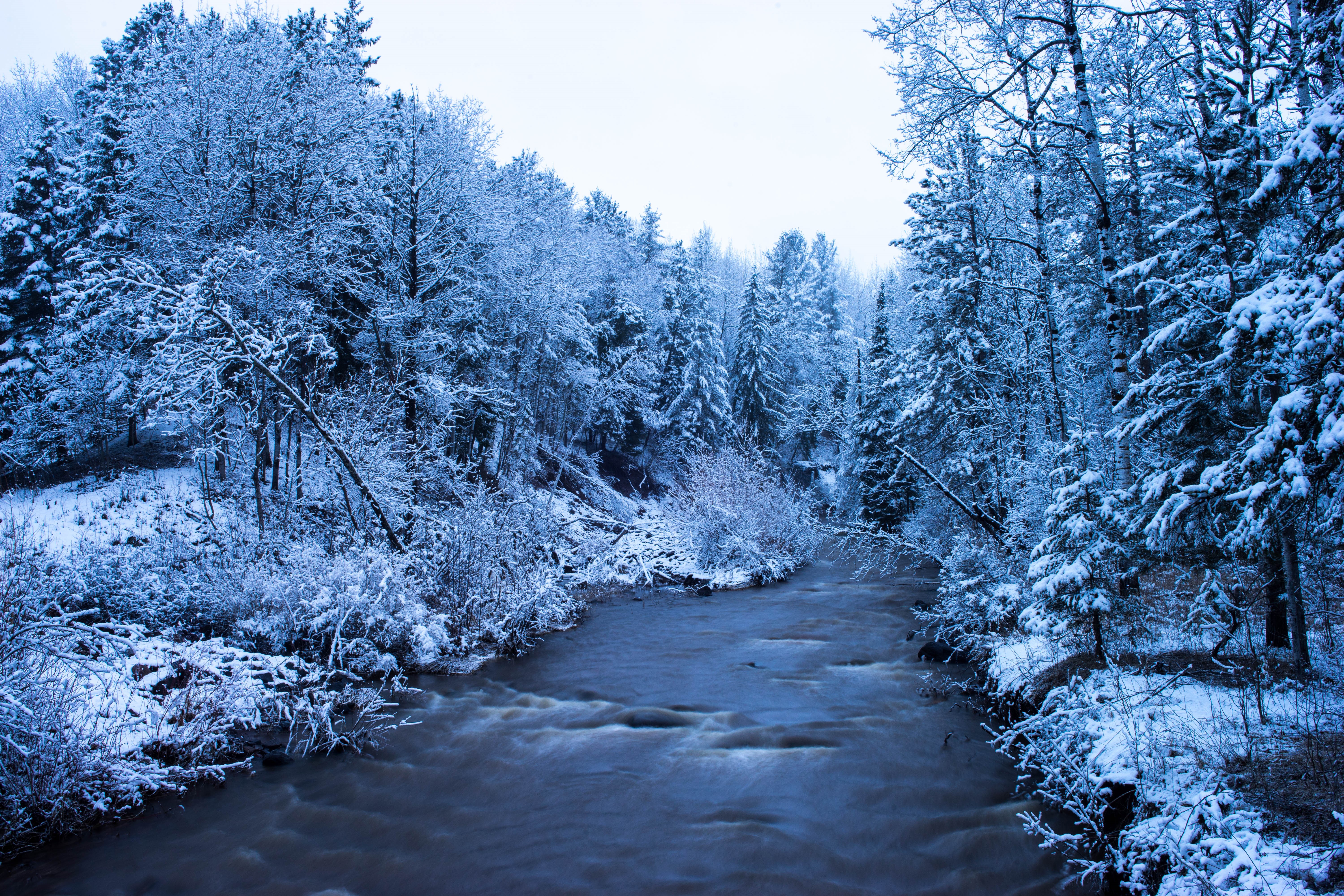 Winter forest with a river HD Wallpaper