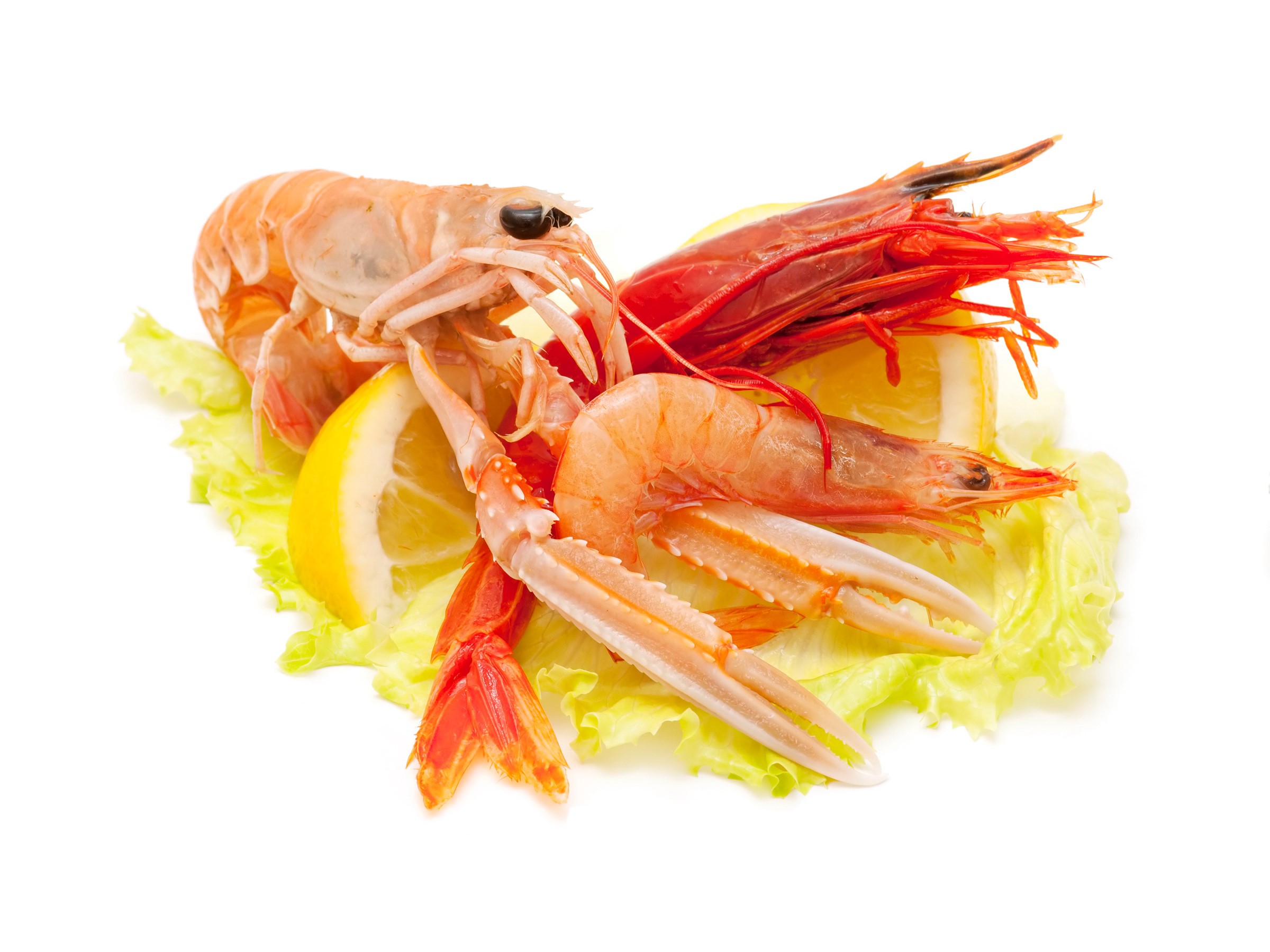 Seafood platter with shrimp, langoustines, and lemon slices HD Wallpaper