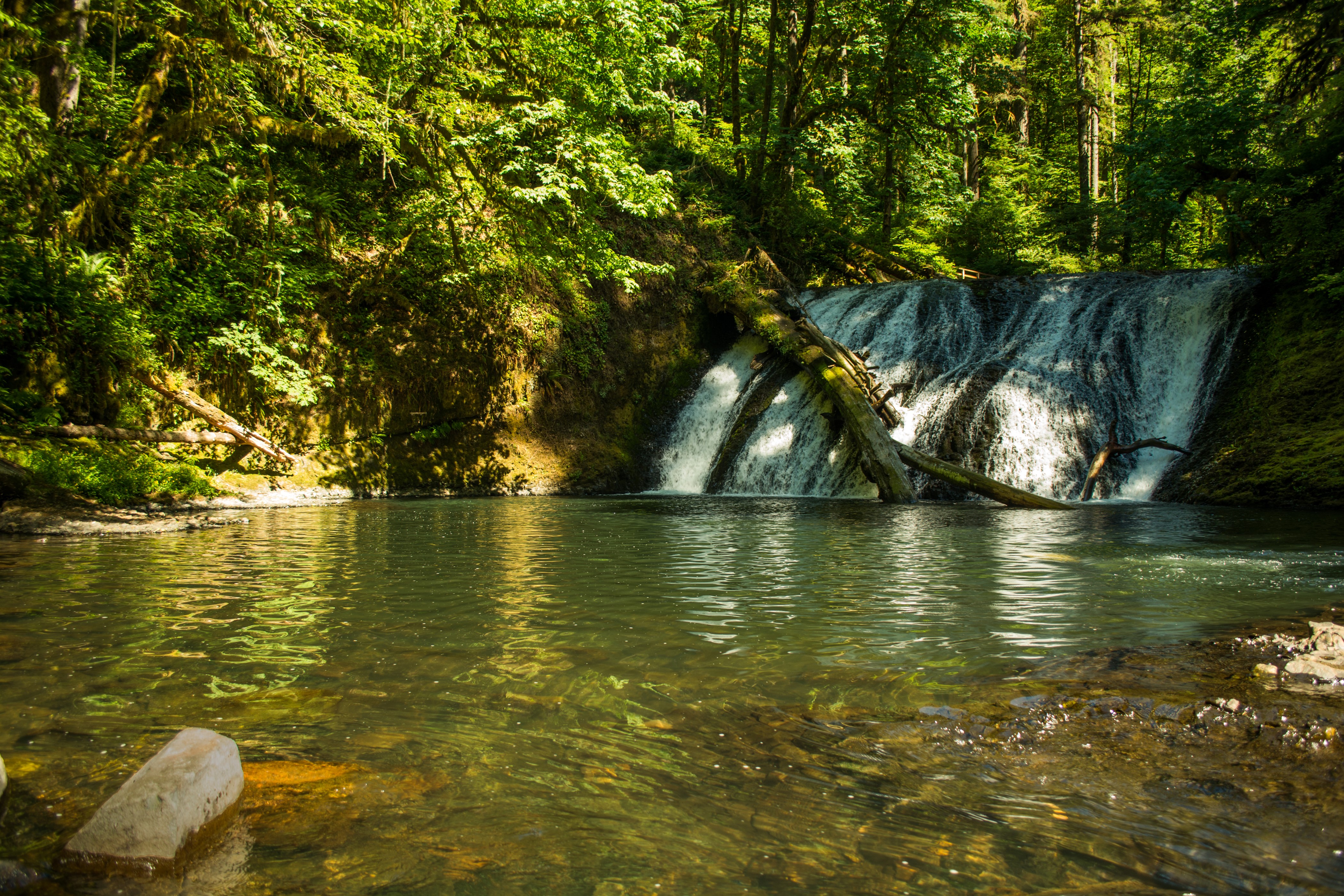 4K Waterfall in Silver Falls State Park, USA HD Wallpaper