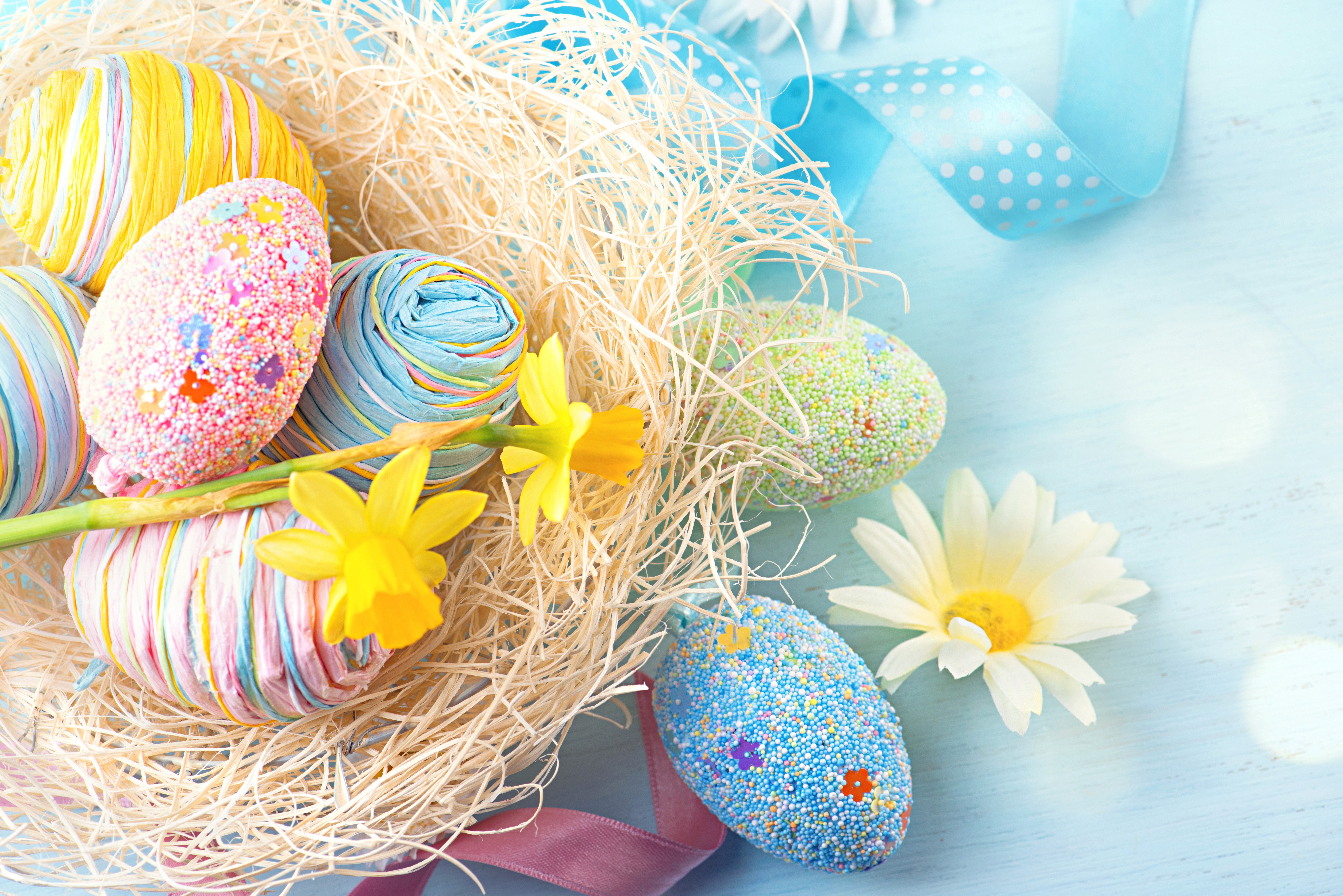 Easter eggs in a nest with daffodils and daisies HD Wallpaper