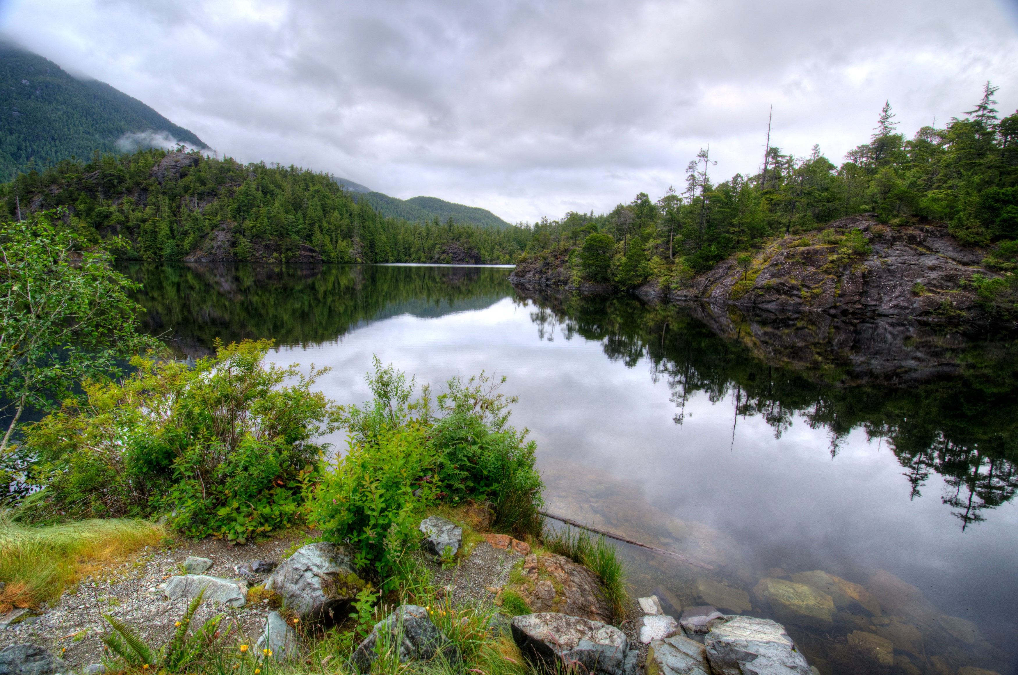Kennedy Lake, Canada, with forested shores and rocky outcrops HD Wallpaper